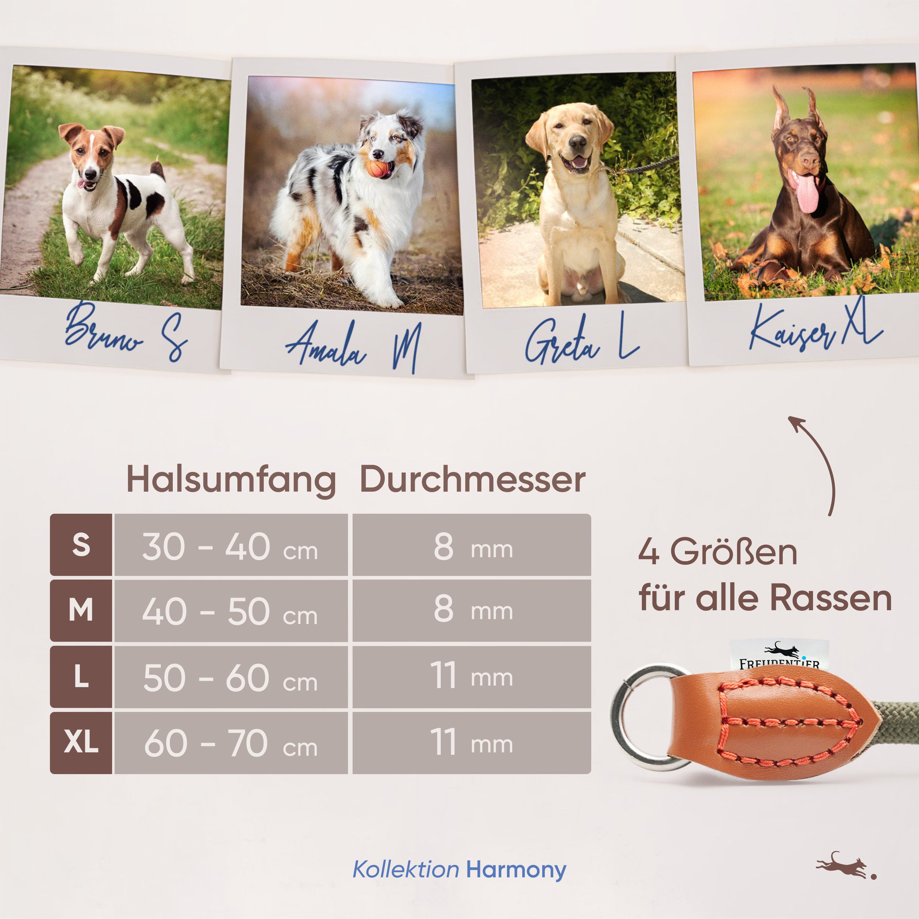 Freudentier Hunde-Halsband mit Zugstopp - Retriever Halsband, 4 verschiedene Größen für kleine, mittelgroße & große Hunde