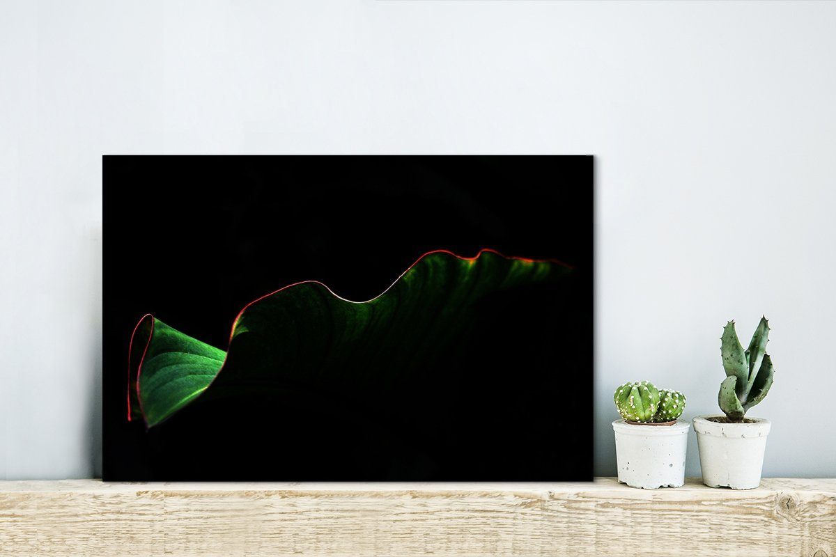 Leinwandbild auf cm Leinwandbilder, Ein roten Blatt Wanddeko, Hintergrund, St), Aufhängefertig, schwarzem tropisches Rändern OneMillionCanvasses® mit (1 30x20 Wandbild