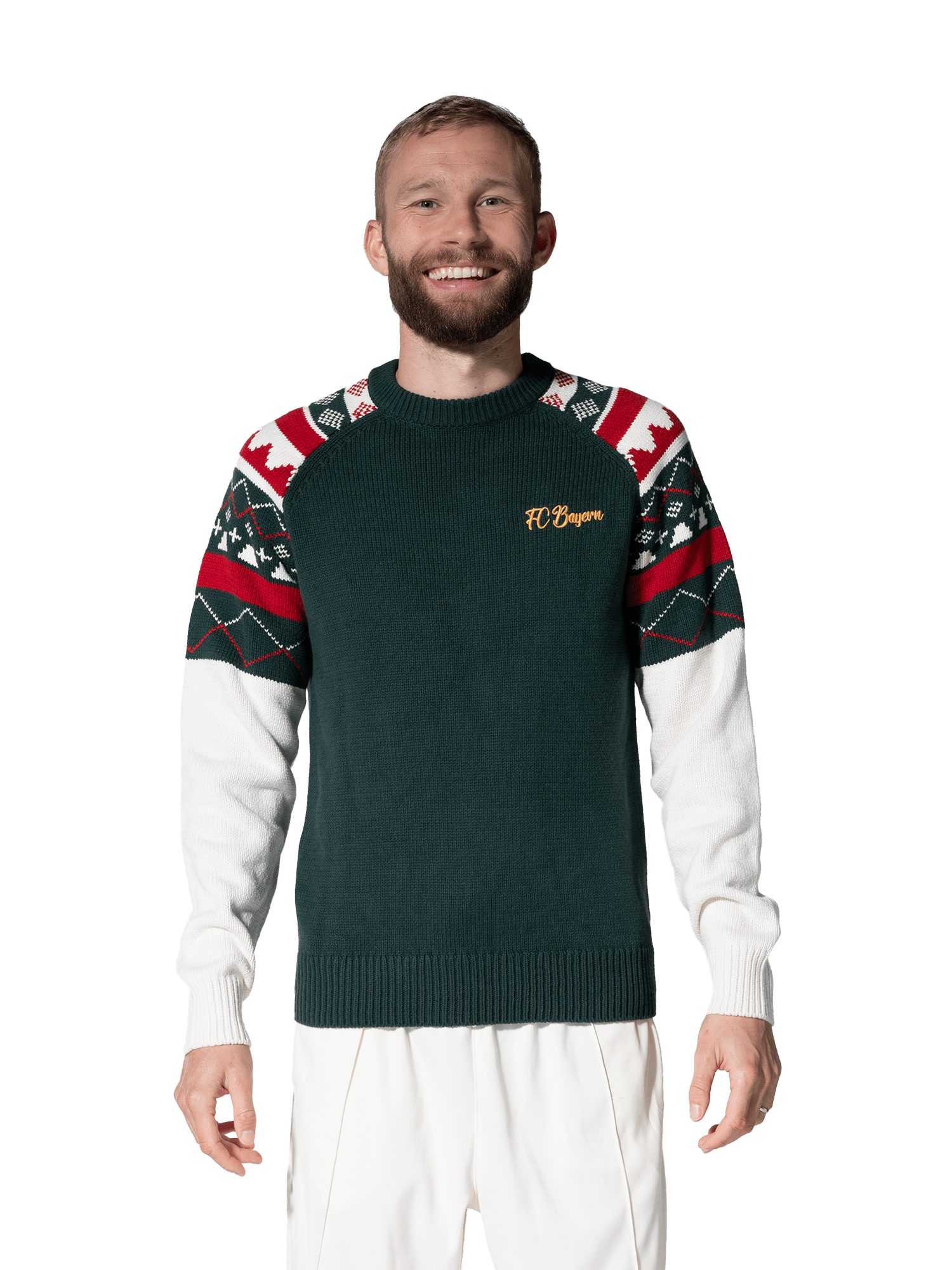 FC Bayern München Polokragenpullover FC Bayern München, Strickpullover Winter, Herren, Grün