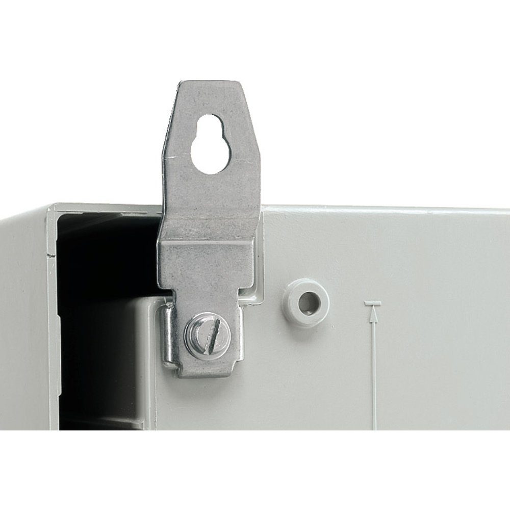SCHNEIDER Schneider Electric NSYPFXPLM Wandhalterung Edelstahl (L x B x H) 80 Steckdosenverteiler