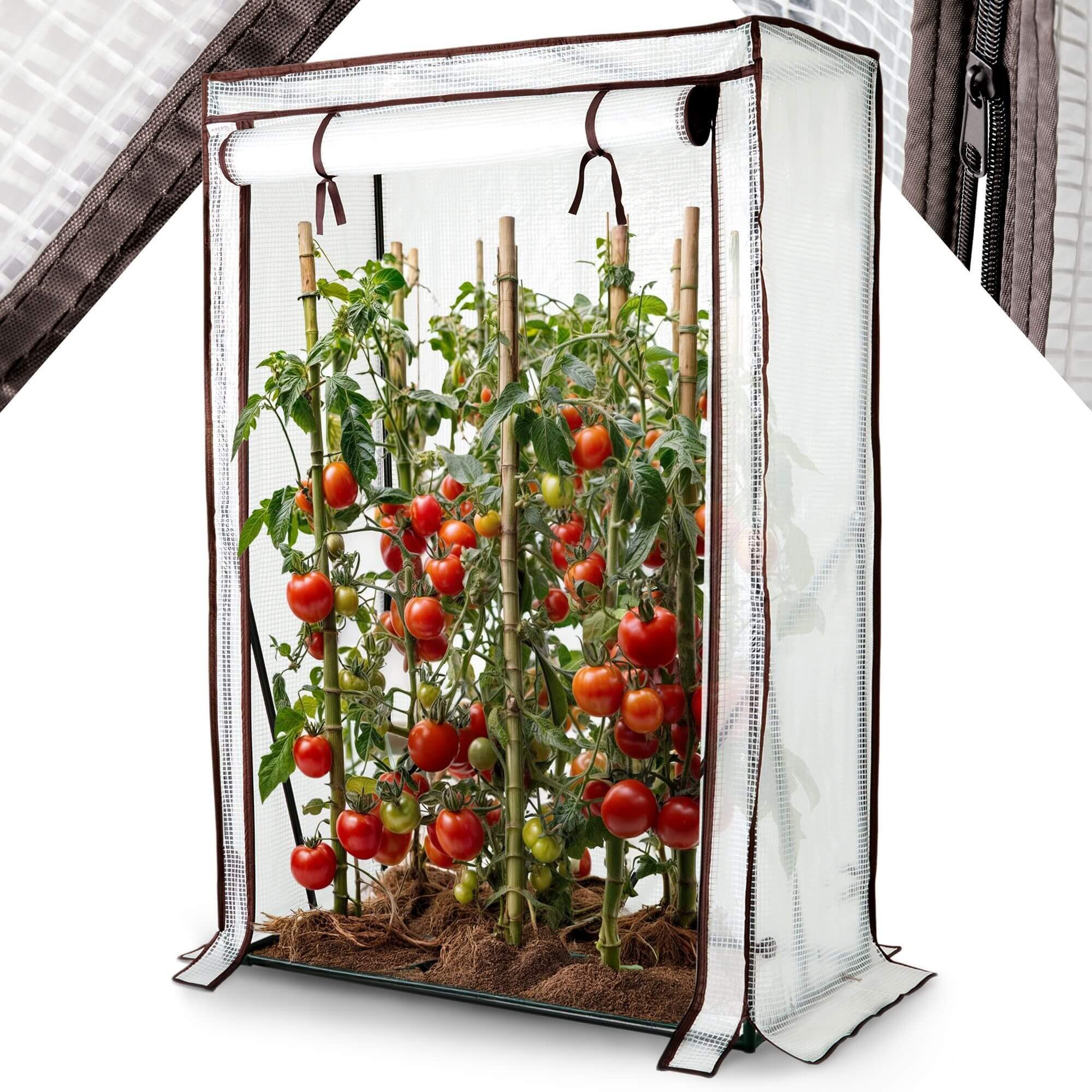 Arebos Tomatengewächshaus Treibhaus Frühbeet Foliengewächshaus, BxTxH: günstig online kaufen