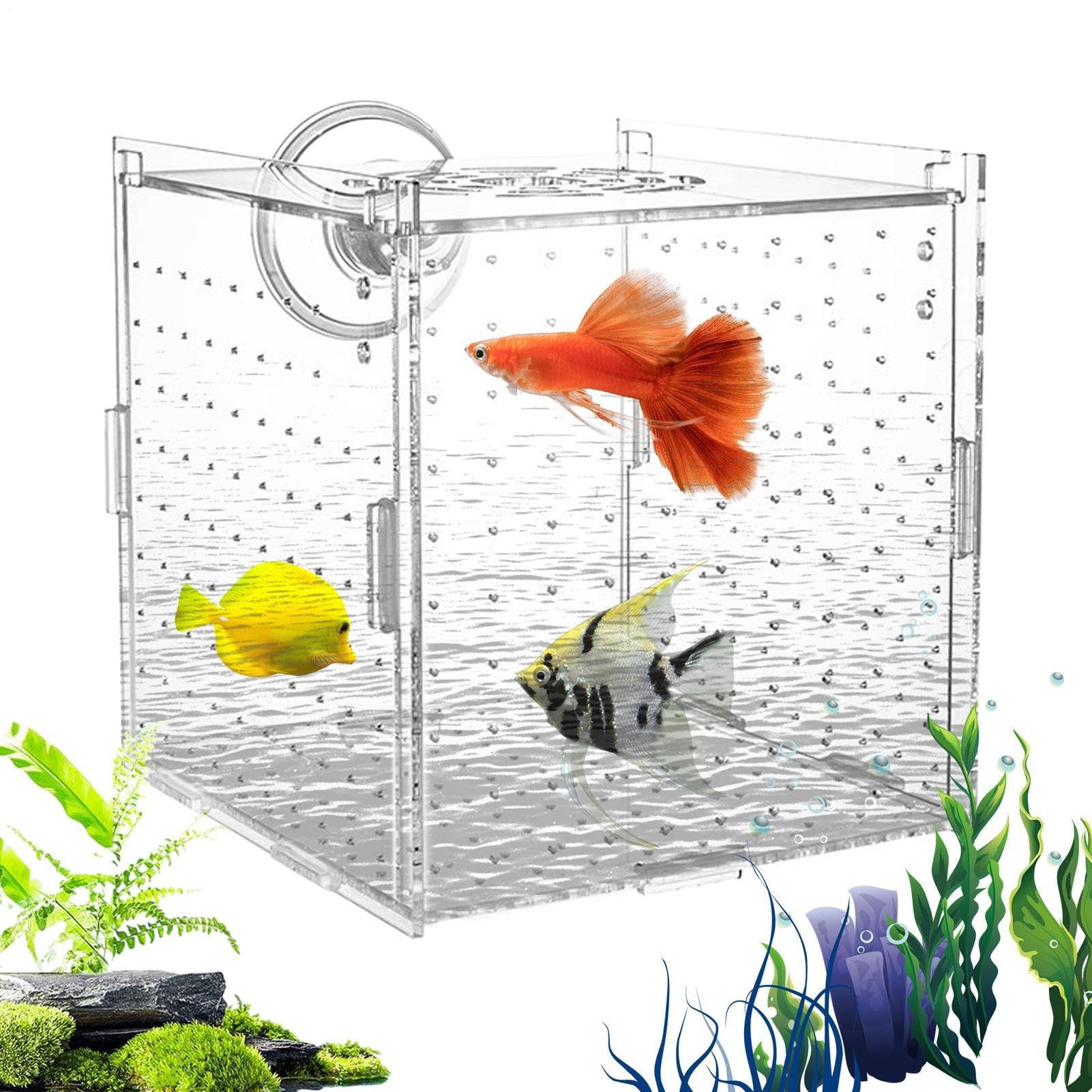 SURFOU Aquarium Aquarium Aufzuchtbox Fischzuchtbox für Babyfische & Garnelen Isolation, 8×8×8 cm, Acryl Fisch-Isolationsbox mit Saugnapf & Silikondichtung