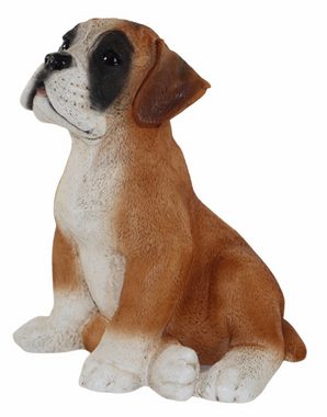 Castagna Tierfigur Deko Figur Hund Boxer Welpe Hundefigur sitzend Kollektion Castagna aus Resin Höhe 24 cm