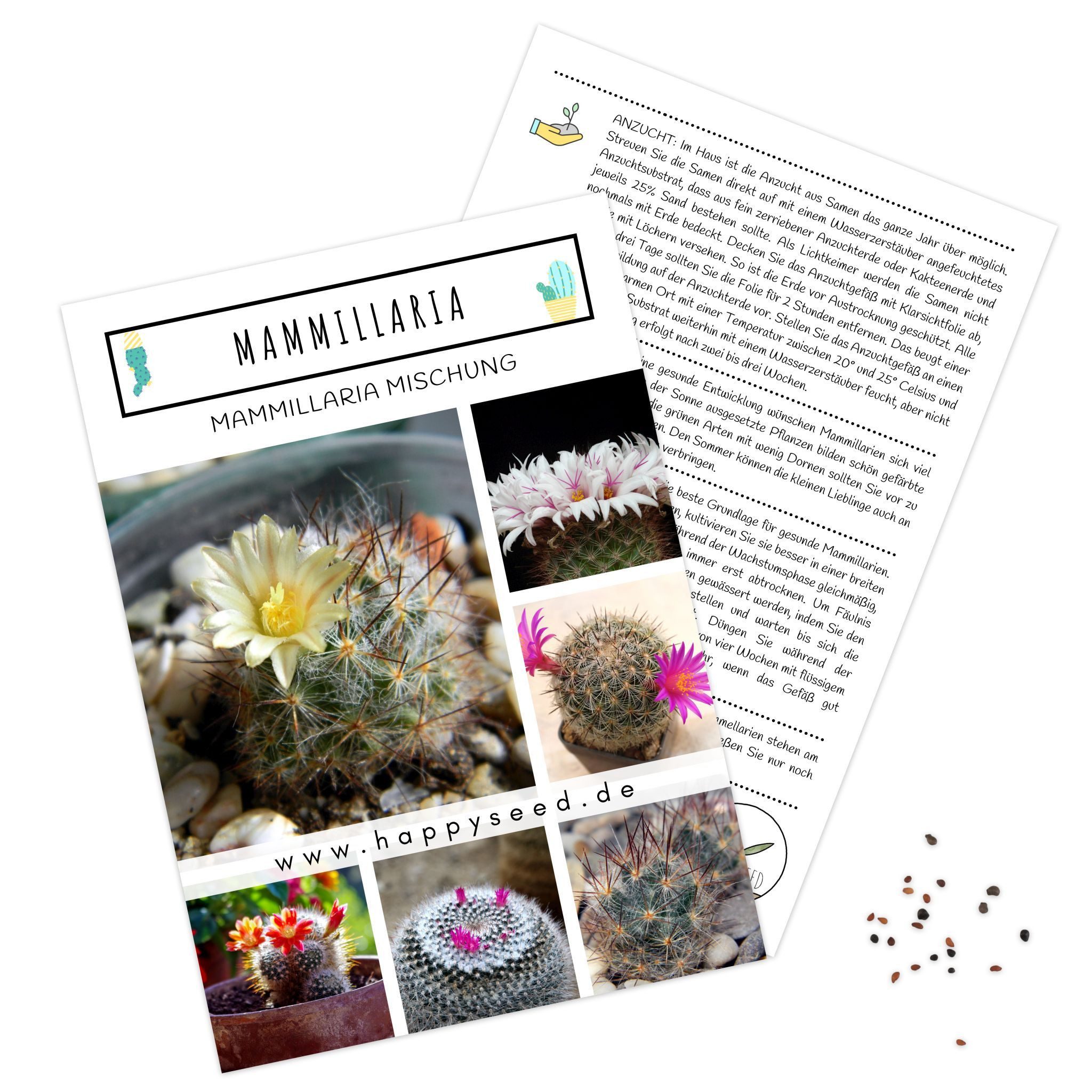 HappySeed Blumensamen Mammillaria Mix Samen - Cactaceae (Kakteen), Kakteen günstig online kaufen