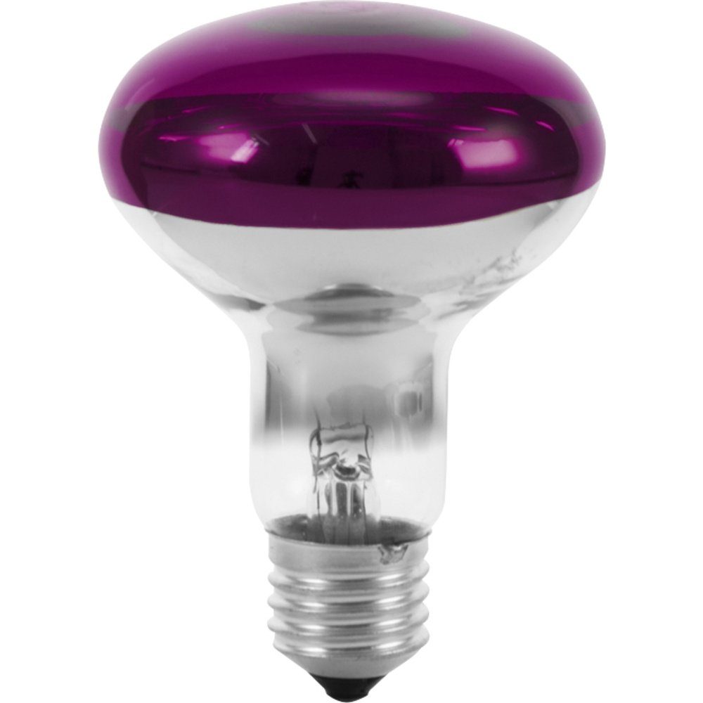 EUROLITE LED-Leuchtmittel Eurolite 9210440U Halogen E27 Reflektor 60 W Violett (x L) 80 mm x