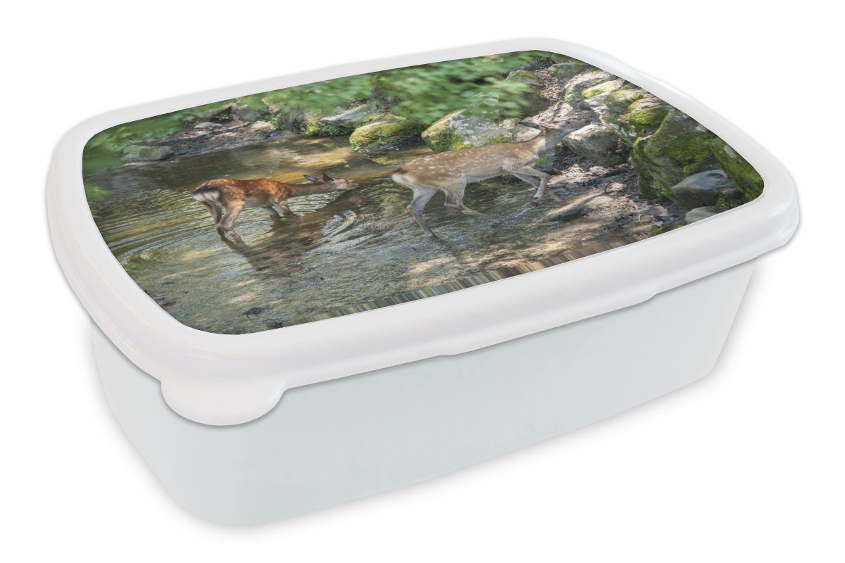 MuchoWow Lunchbox Hirsche - Wasser - Moos, Kunststoff, (2-tlg), Brotbox für Kinder und Erwachsene, Brotdose, für Jungs und Mädchen weiß