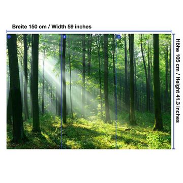 wandmotiv24 Fototapete Wald Sonnenstrahlen Nebel, glatt, Wandtapete, Motivtapete, matt, Vliestapete