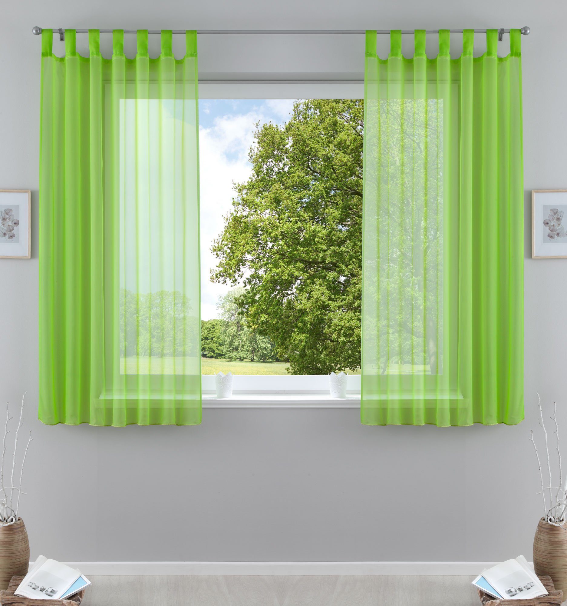 Gardinenbox Gardine, Schlaufen (2 St), transparent, günstig online kaufen