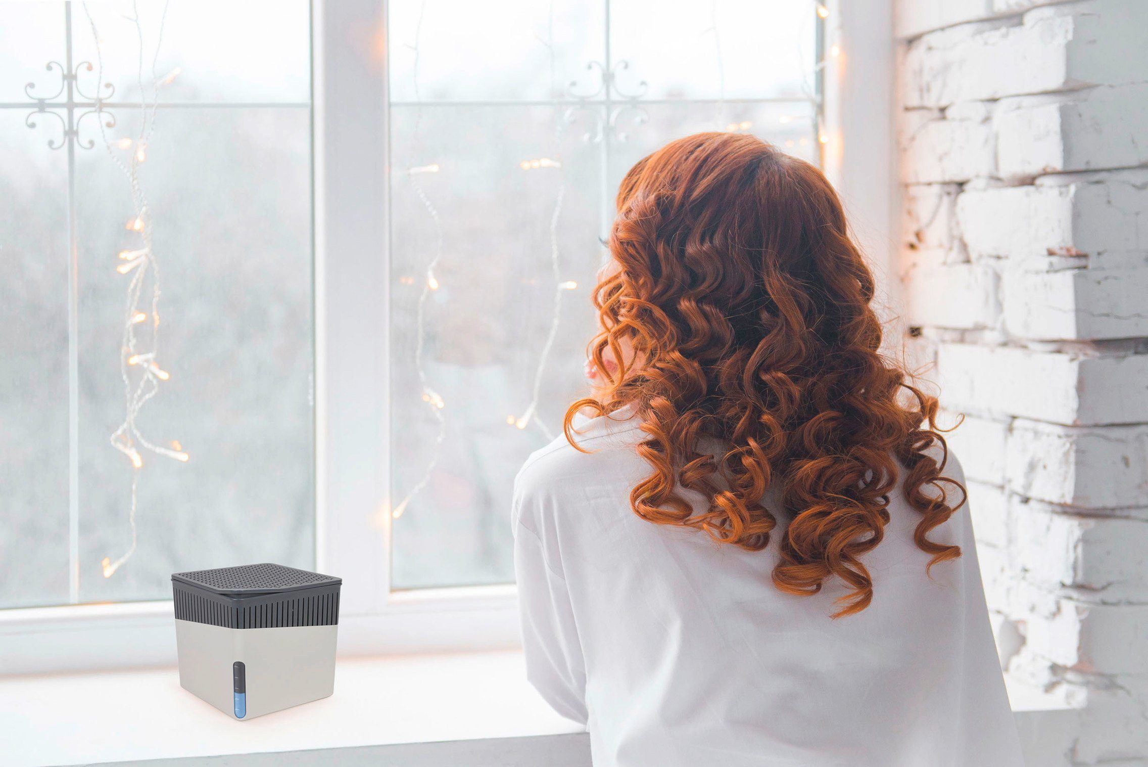 WENKO Luftentfeuchter Cube, für 80 m³ günstig online kaufen