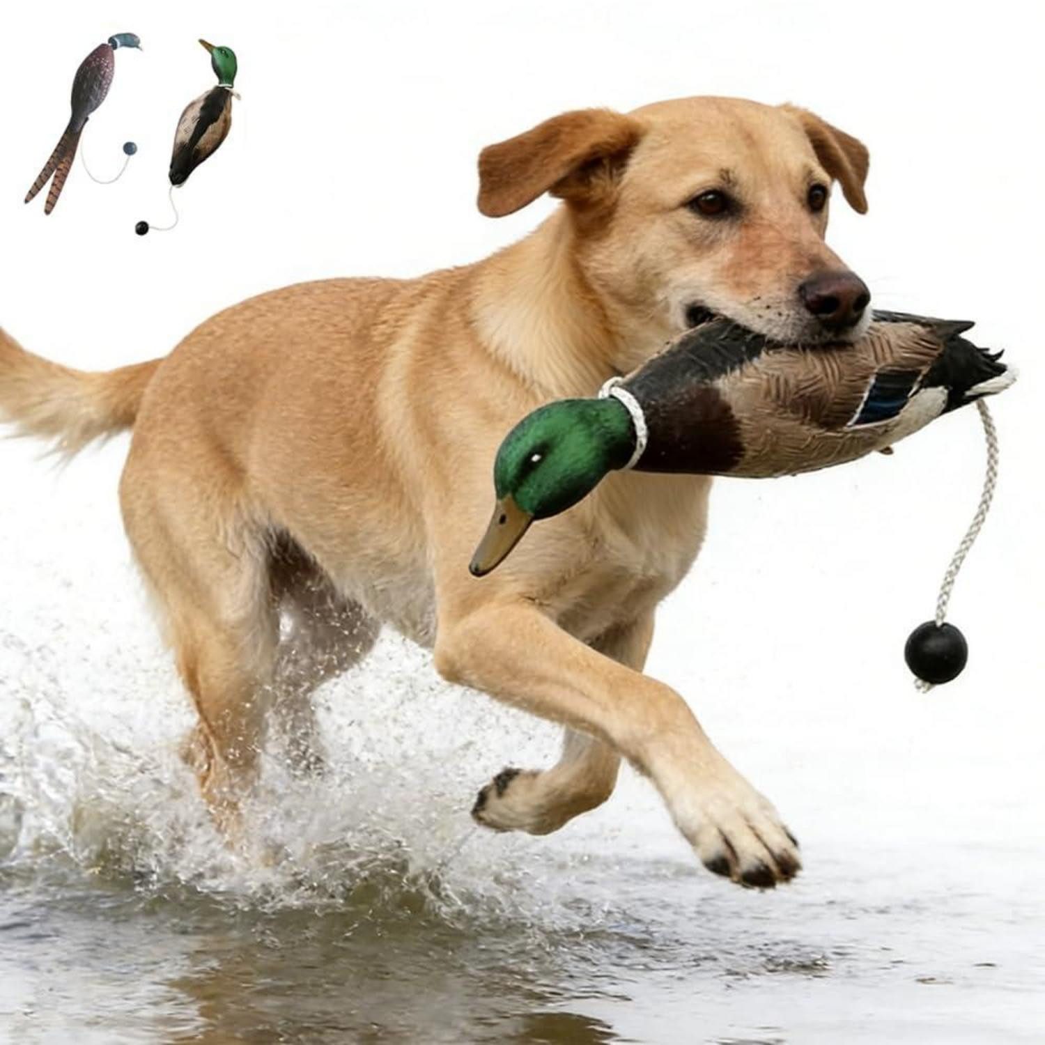 LuxusKollektion Outdoor-Spielzeug Jagd-Hundespielzeug Enten & Fasan 2er Set, Kunststoff, (2-tlg)