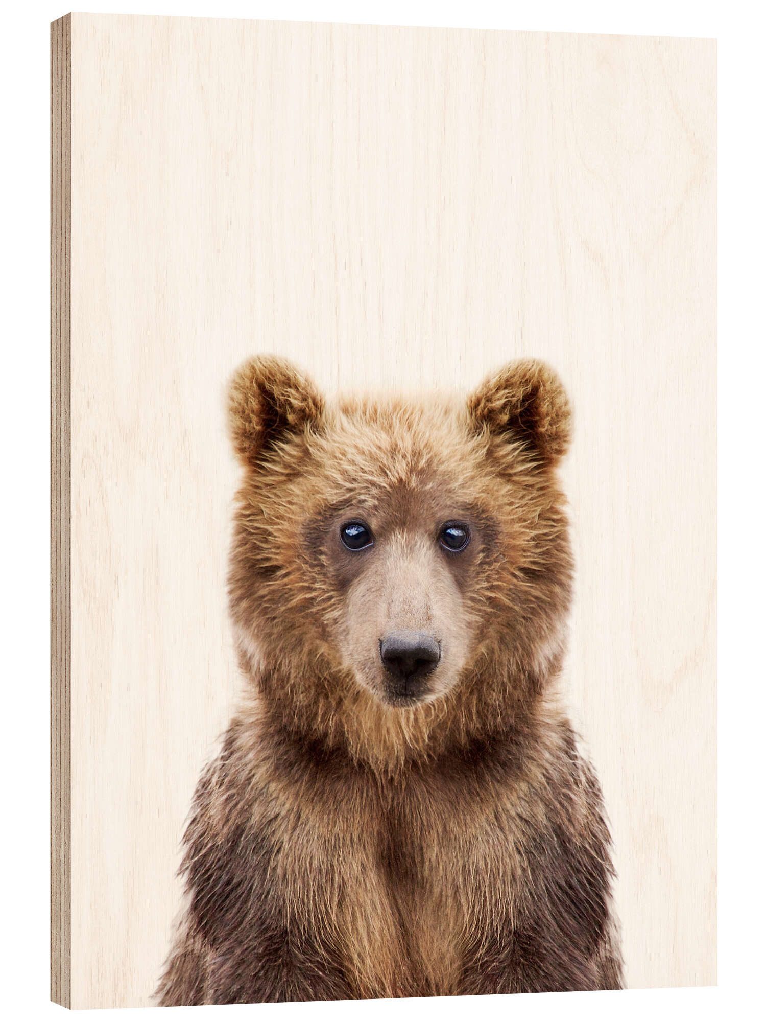 Posterlounge Wandbild Braunbär, Sisi And Seb, erhältlich als Poster, Leinwandbild, Wandsticker oder Acrylglasbild