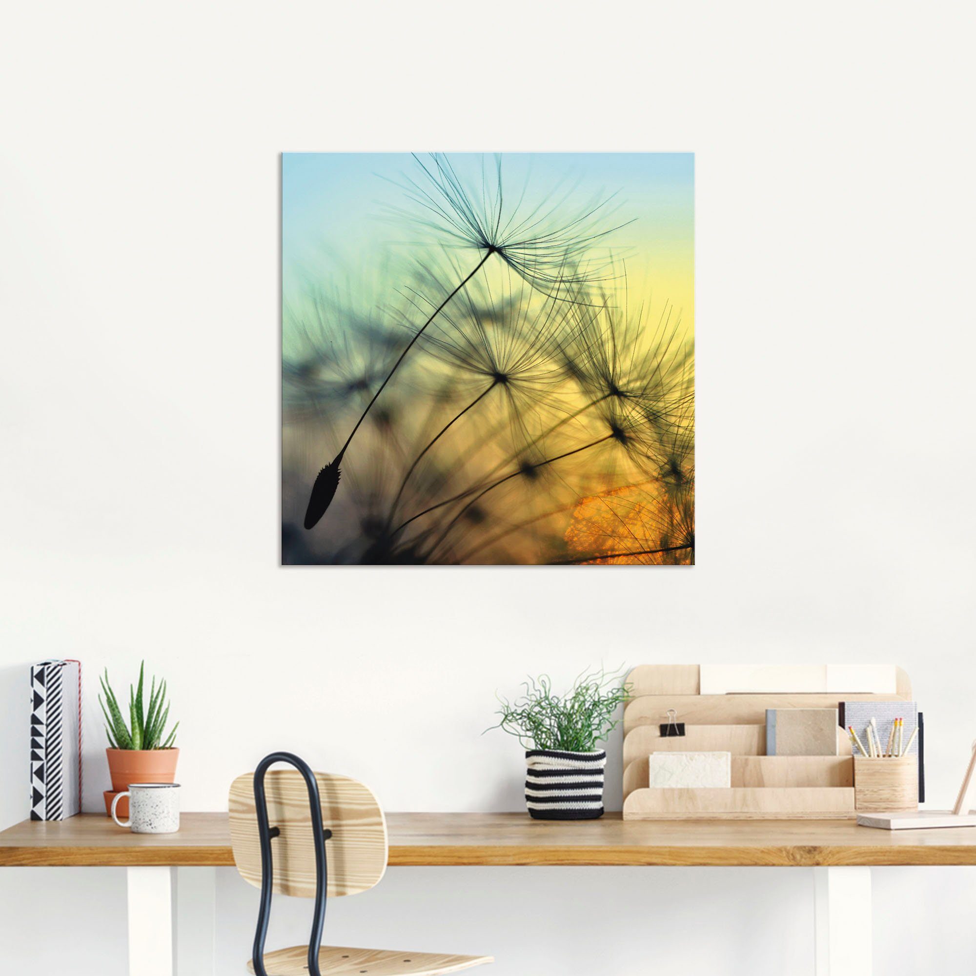 Artland Alu-Dibond-Druck Goldener Sonnenuntergang und Pusteblumen, Blumen (1 St), für Innen- und Außenbereich geeignet, Outdoorbild