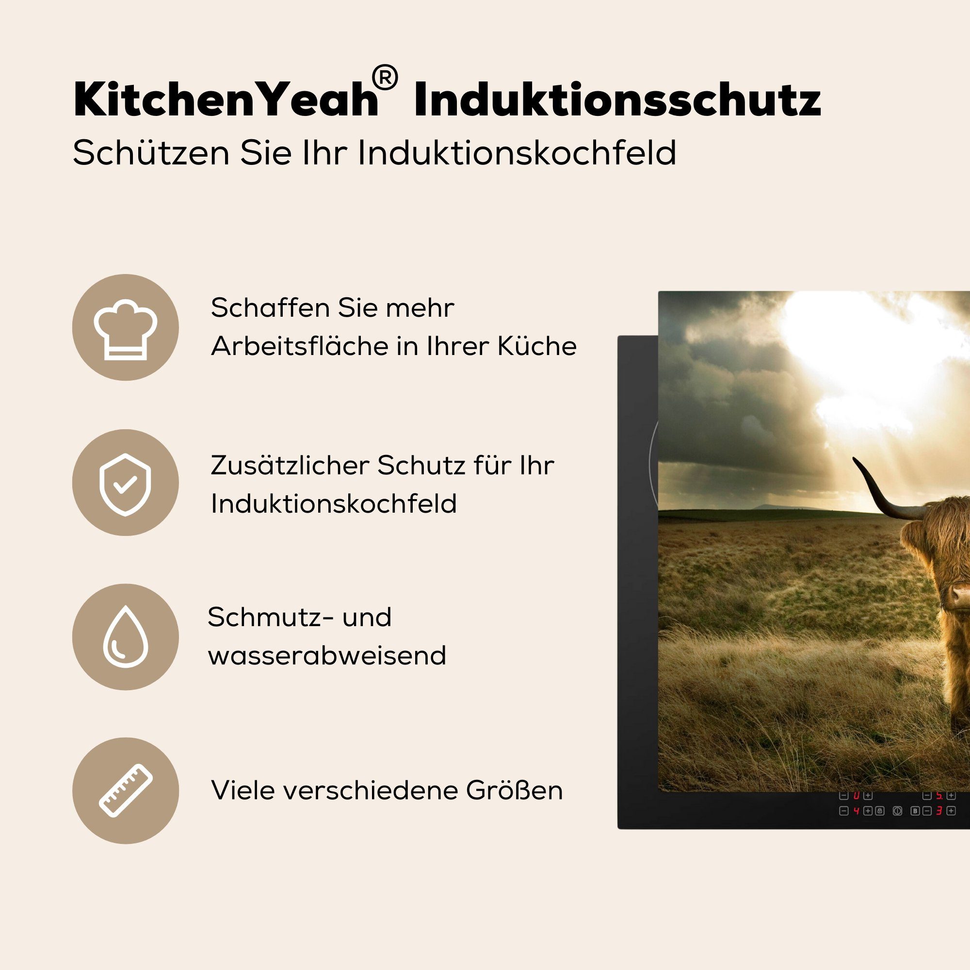 MuchoWow Herdblende-/Abdeckplatte Schottischer Hochländer - küche, die Tiere, (1 für Ceranfeldabdeckung tlg), cm, Vinyl, - Sonne Induktionsmatte 59x52