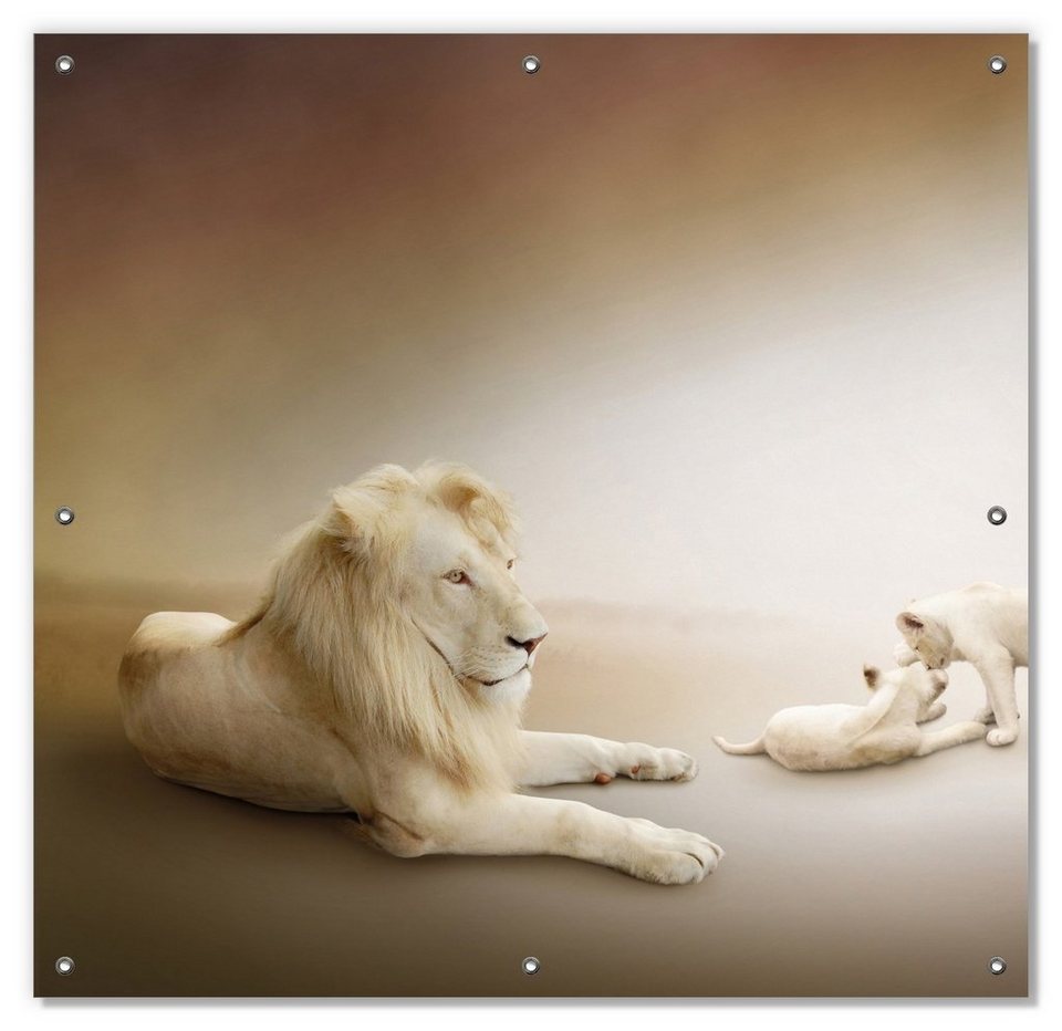 Sonnenschutz Löwenfamilie mit Jungtieren, Wallario, blickdicht, mit  Saugnäpfen, wiederablösbar und wiederverwendbar
