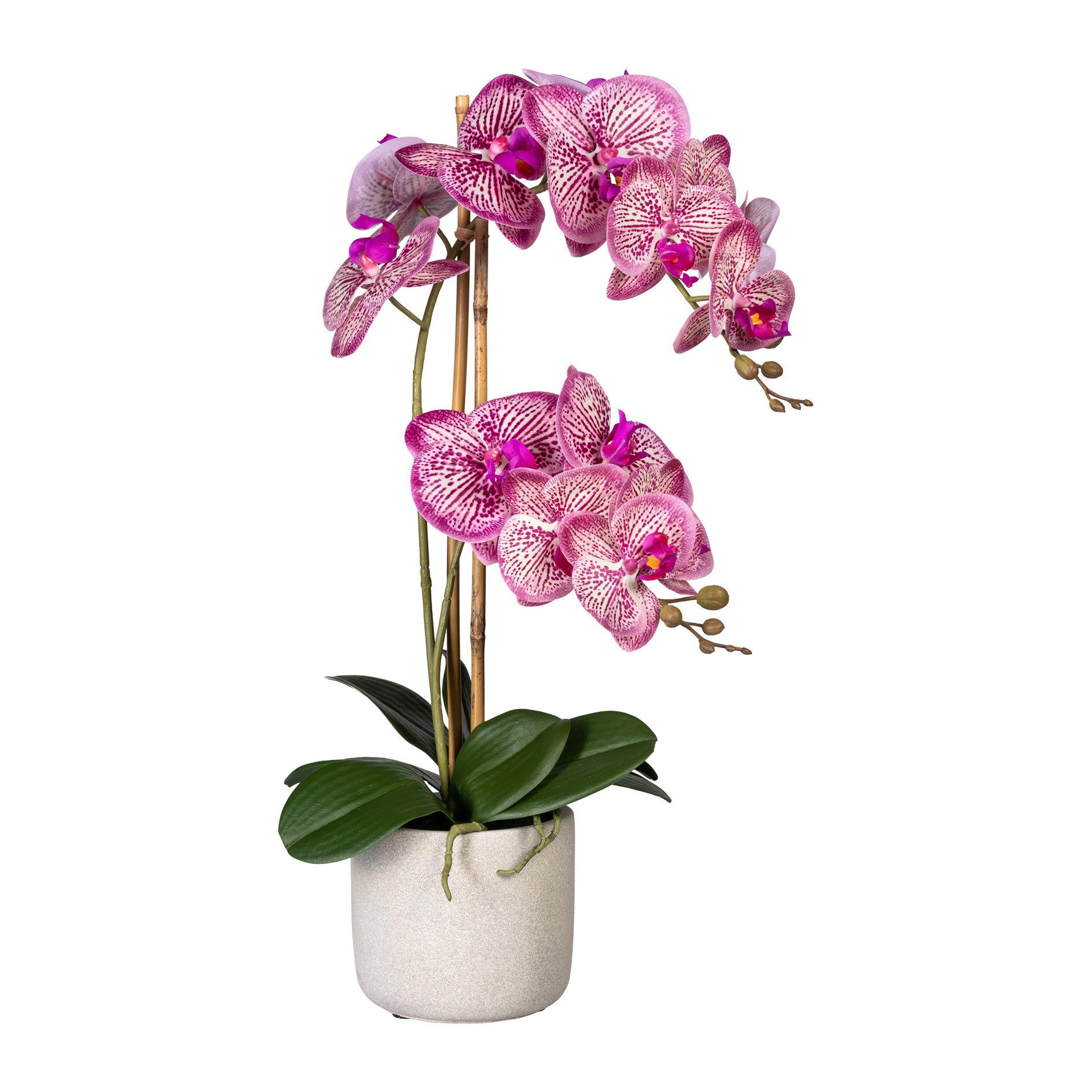 Kunstblume Orchidee, Höhe 60 cm, im Zementopf, Creativ green