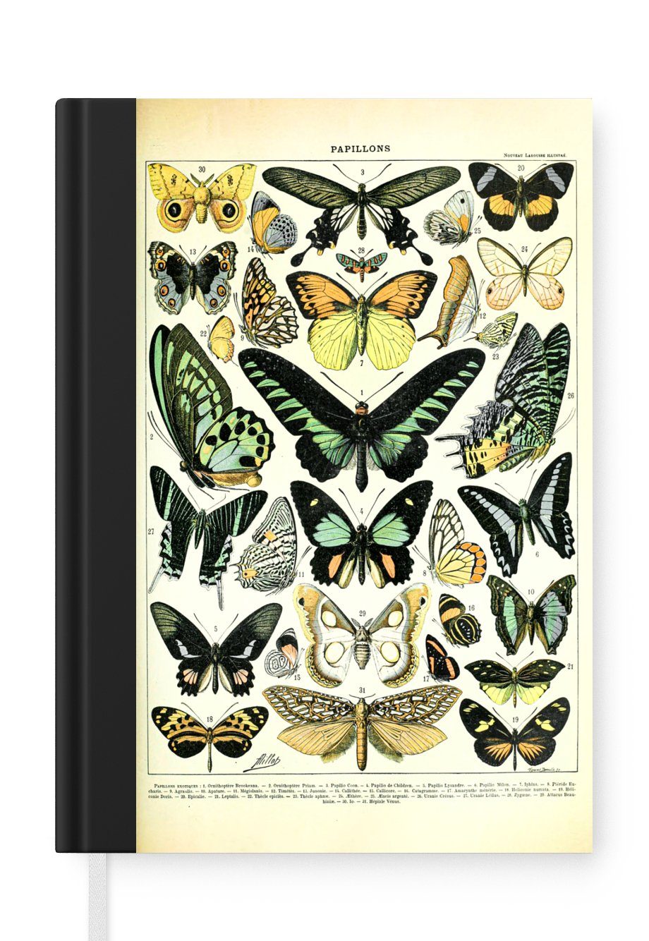 MuchoWow Notizbuch Tiere - Schmetterlinge - Grün, Journal, Merkzettel, Tagebuch, Notizheft, A5, 98 Seiten, Haushaltsbuch