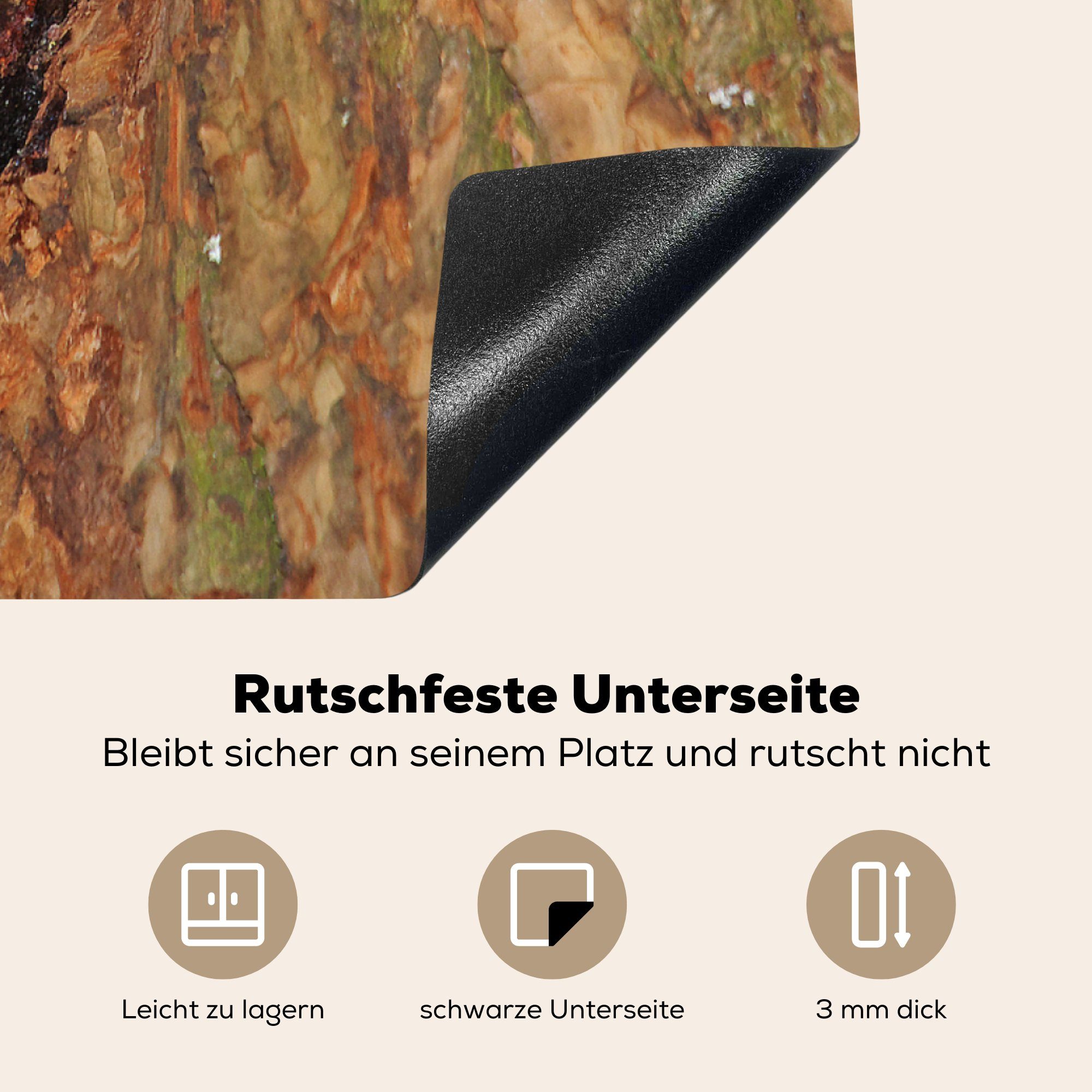 Buntspecht für tlg), Ein 78x78 Herdblende-/Abdeckplatte Kinder (1 MuchoWow im füttert cm, küche Vinyl, Ceranfeldabdeckung, seine Arbeitsplatte Nest,