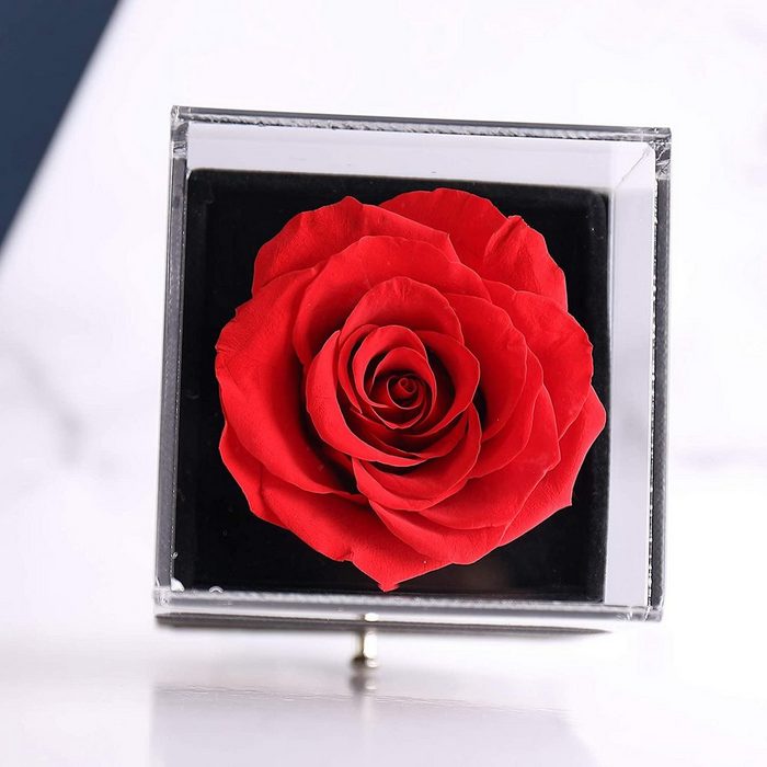 Devenirriche Collier Geschenke für sie konservierte echte Rose AR9750