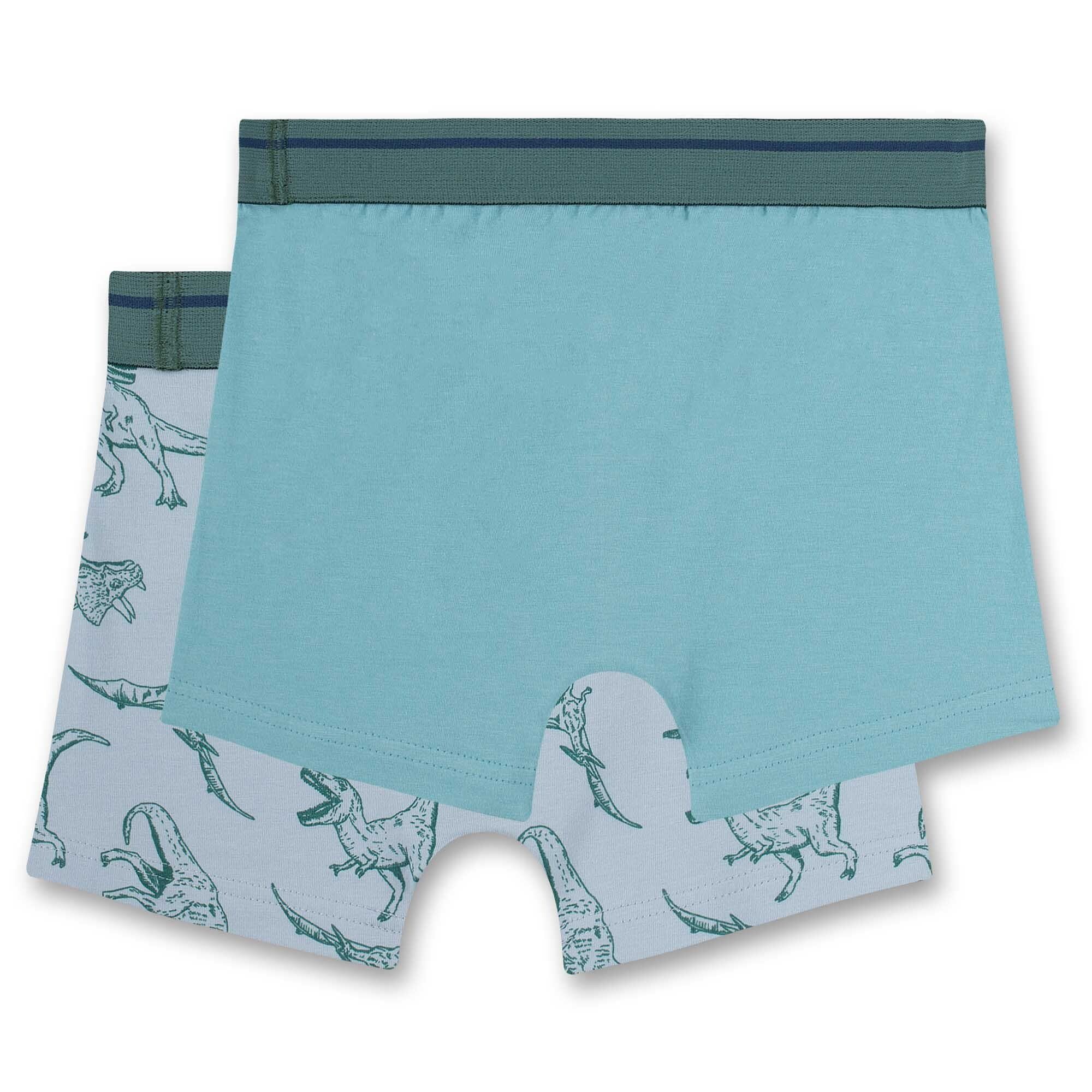 2er Unterhose, - Boxer Sanetta Pants, Jungen Shorts Pack Single