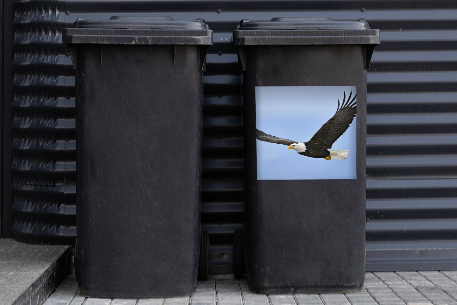 Abfalbehälter Mülltonne, (1 Ein MuchoWow fliegender Mülleimer-aufkleber, Wandsticker Weißkopfseeadler Sticker, Container, St),