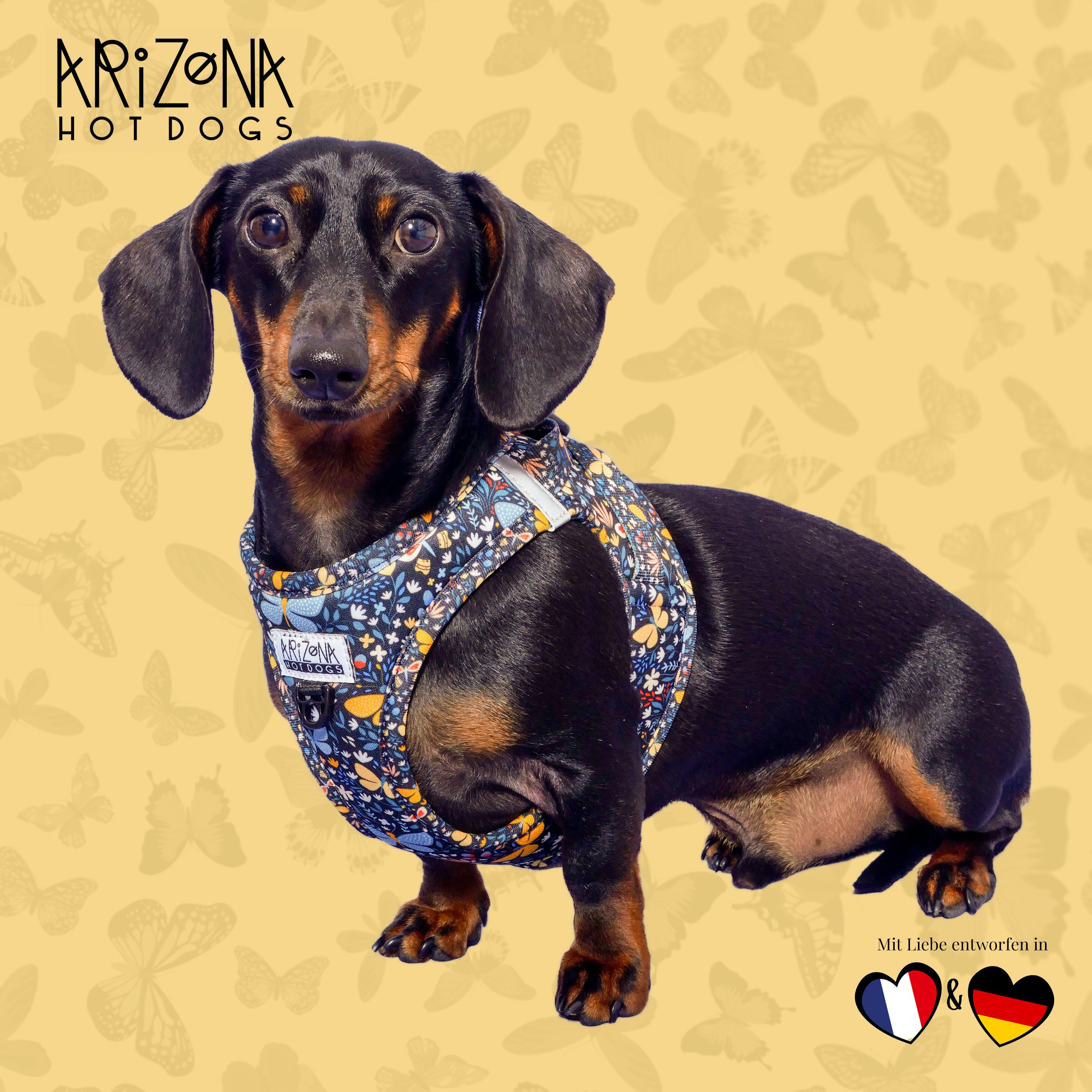 ARIZONA HOT DOGS Hunde-Geschirr Step-In Neopren, Arizona Hotdogs Geschirr Butterfly XXXS