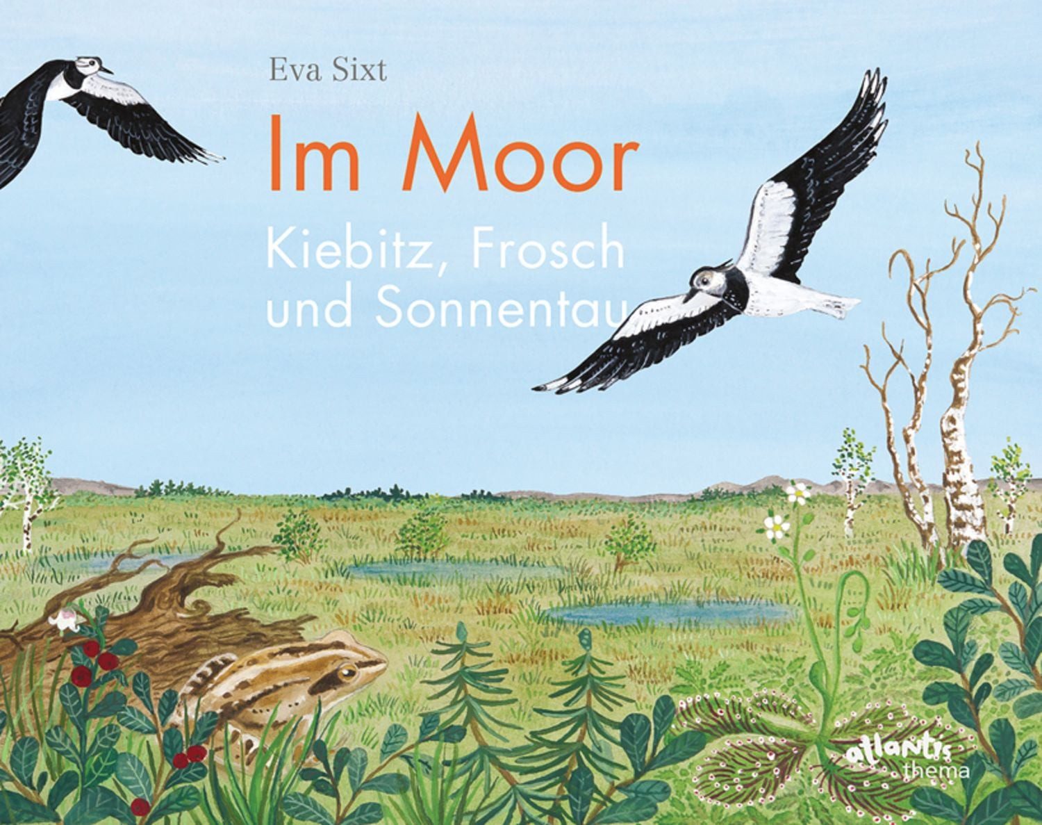 Im Moor – Kiebitz, Frosch und Sonnentau / Eva Sixt