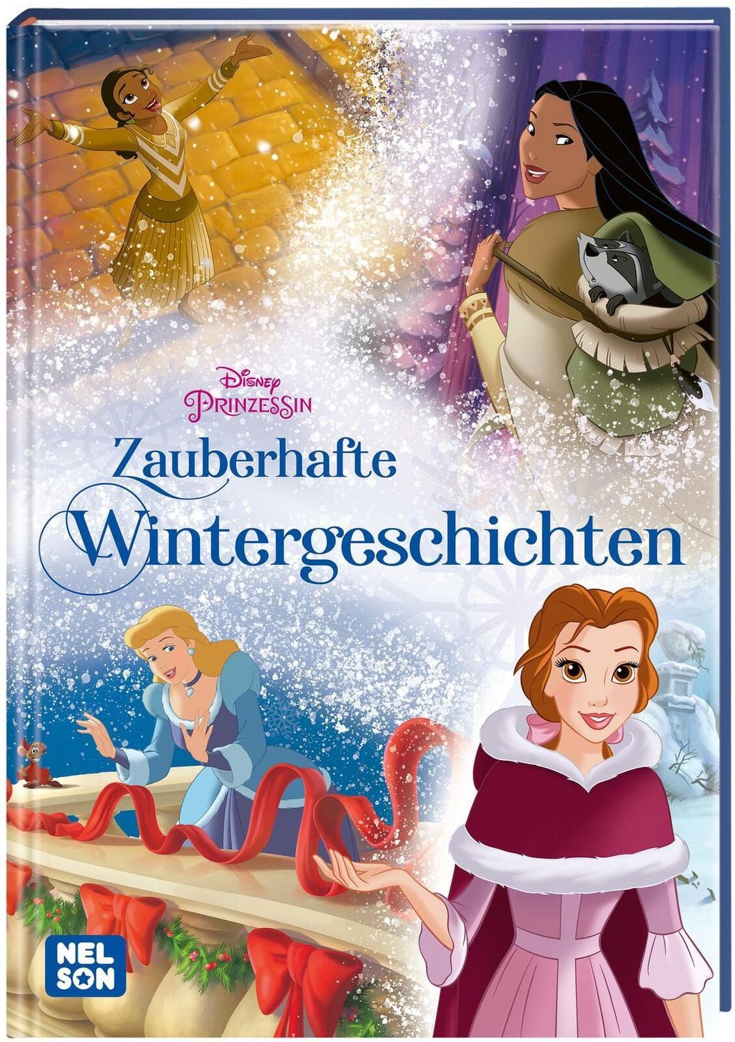 Disney Prinzessin: Zauberhafte Wintergeschichten / diverse
