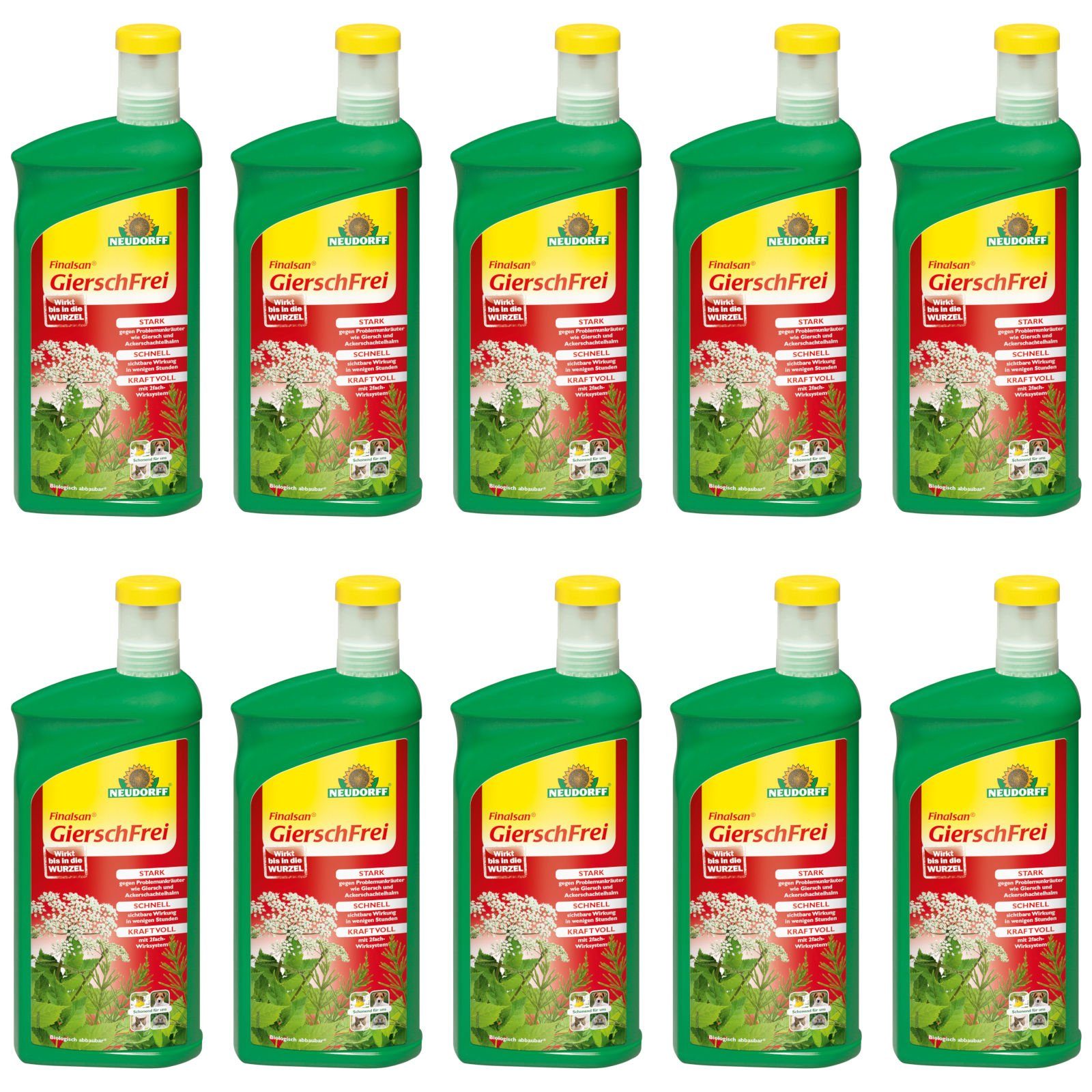 Unkrautbekämpfungsmittel Finalsan GierschFrei 10x 1 Liter