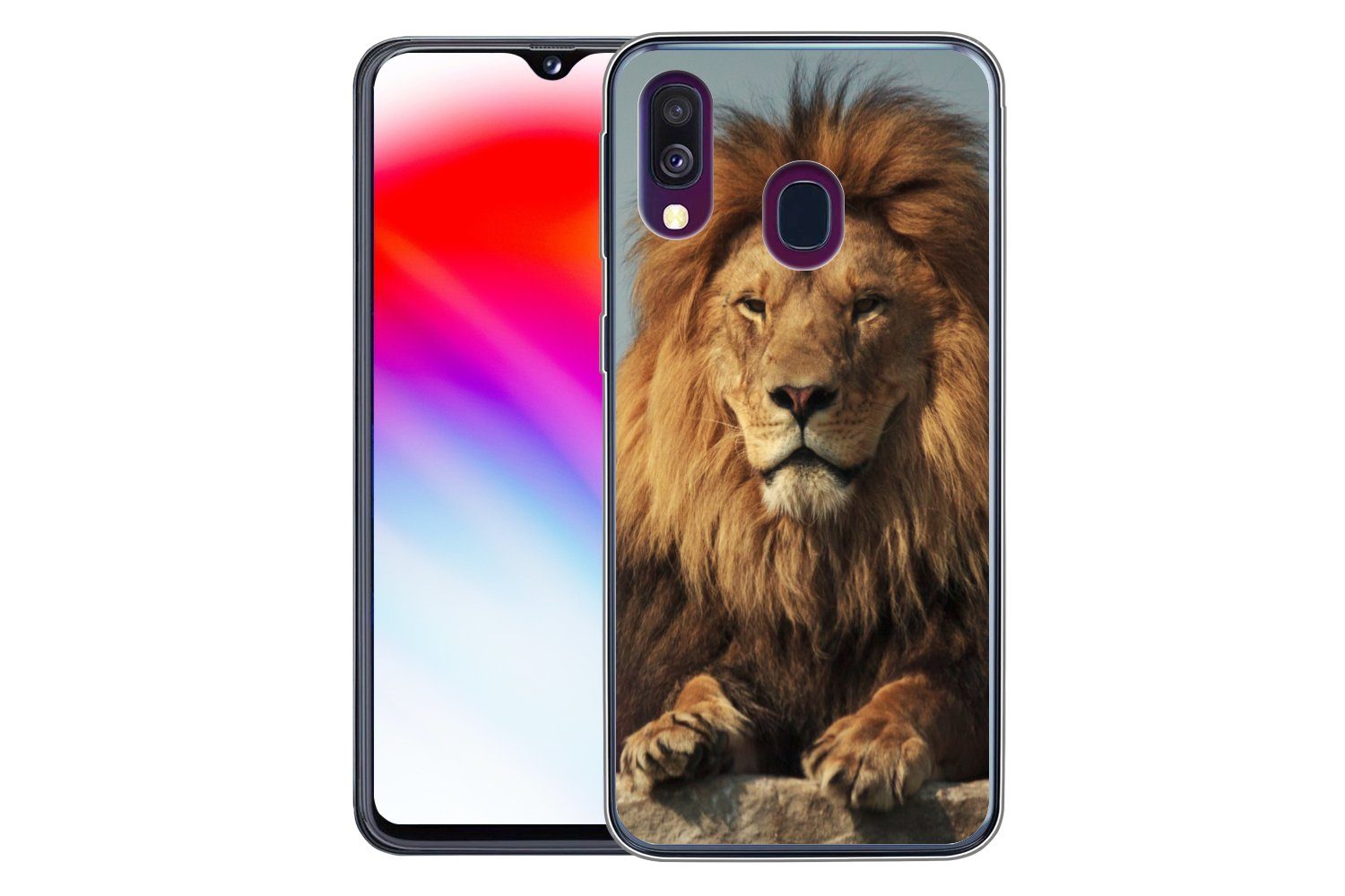 MuchoWow Handyhülle für Samsung Galaxy A40 Löwe - Felsen - Porträt, Smartphone-Bumper, Print, Handy Schutzhülle Dünn