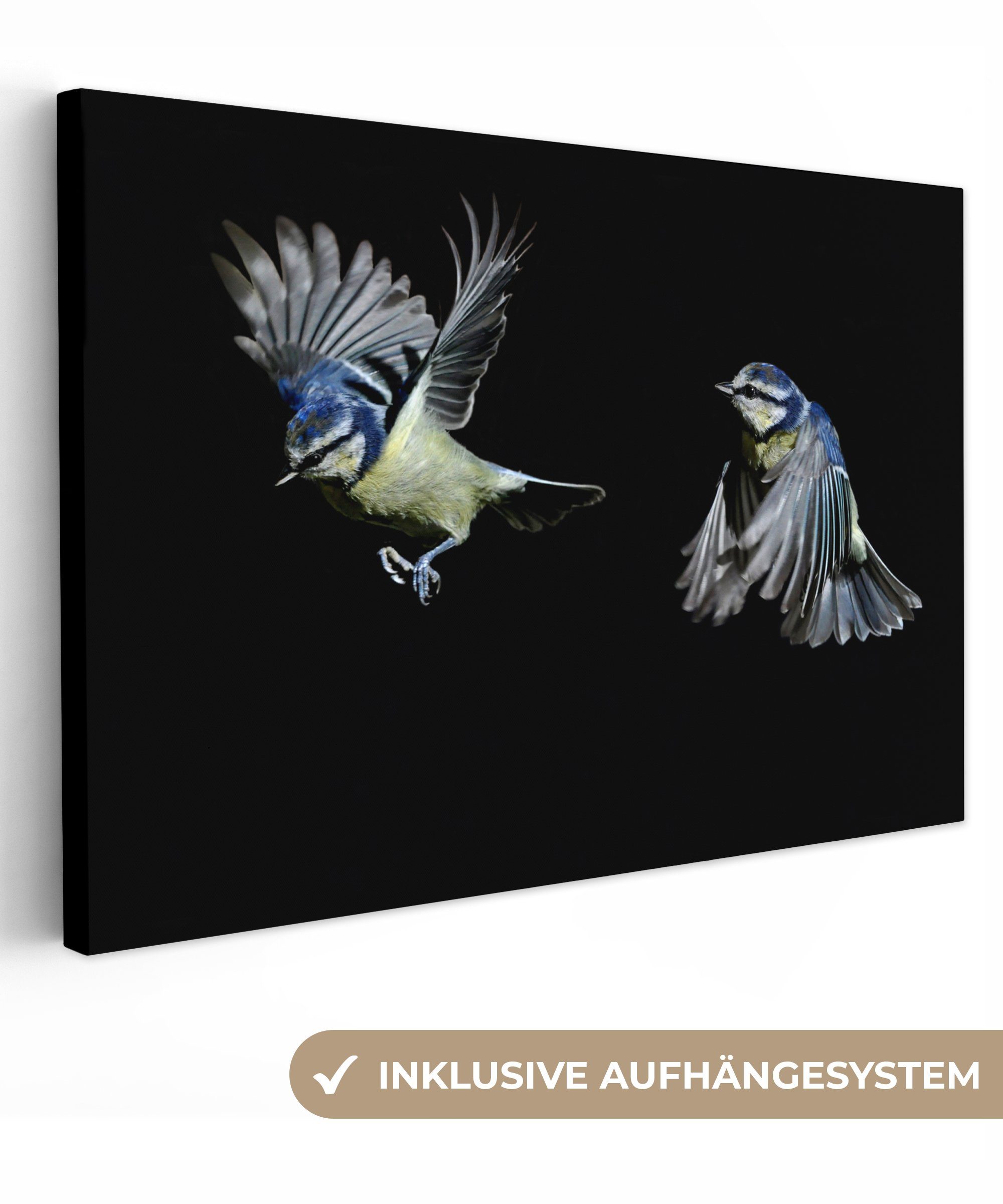 OneMillionCanvasses® Leinwandbild Vogel - Federn - Porträt, (1 St), Wandbild Leinwandbilder, Aufhängefertig, Wanddeko, 30x20 cm