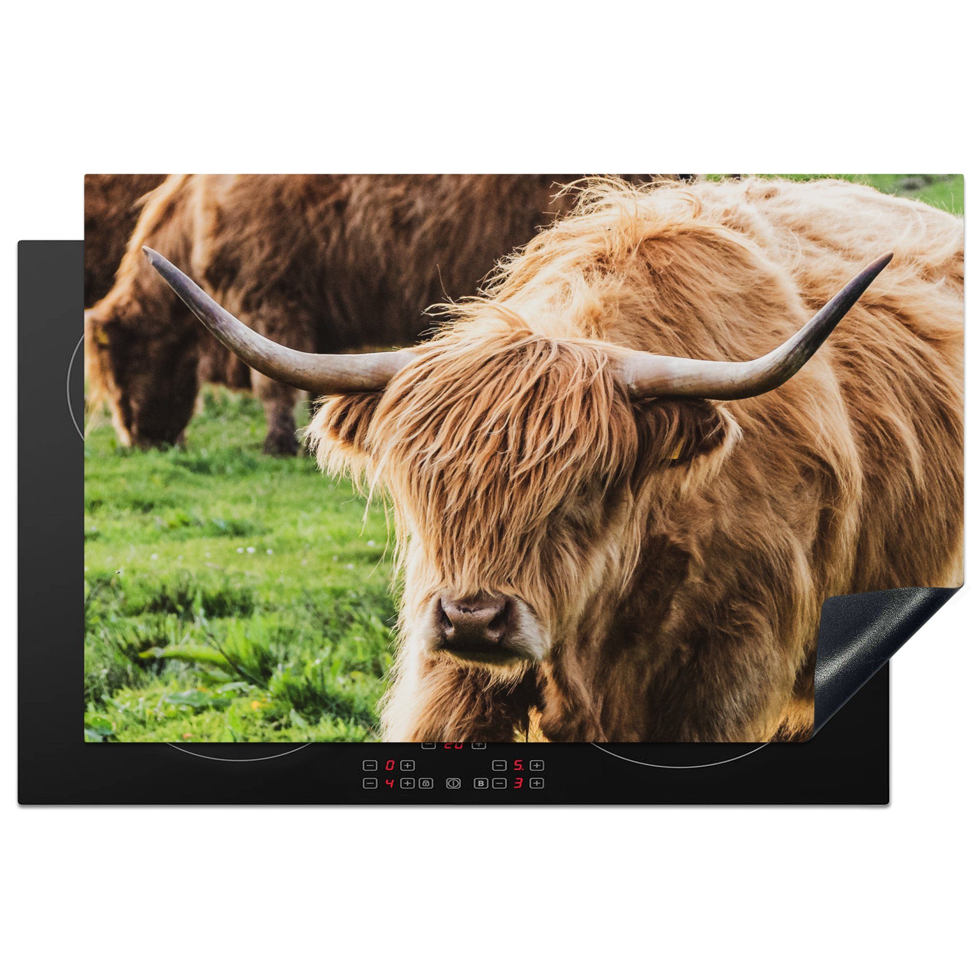 MuchoWow Herdblende-/Abdeckplatte Schottische Highlander - Tiere - Gras, Vinyl, (1 tlg), 81x52 cm, Induktionskochfeld Schutz für die küche, Ceranfeldabdeckung
