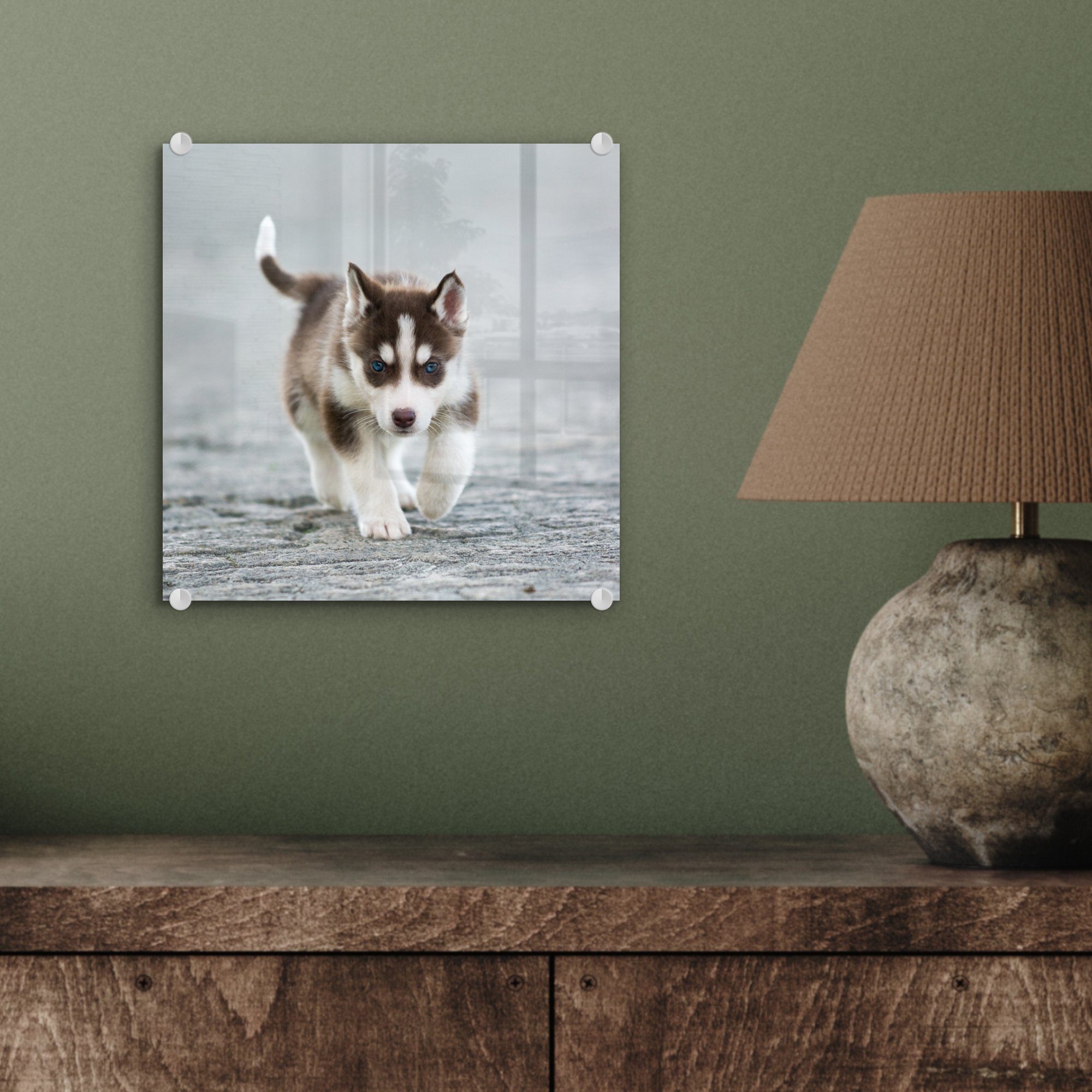 St), Husky-Welpe Glasbilder Foto Glas - (1 läuft Glas Straße, MuchoWow über Wanddekoration Acrylglasbild die auf - auf Bilder Wandbild -