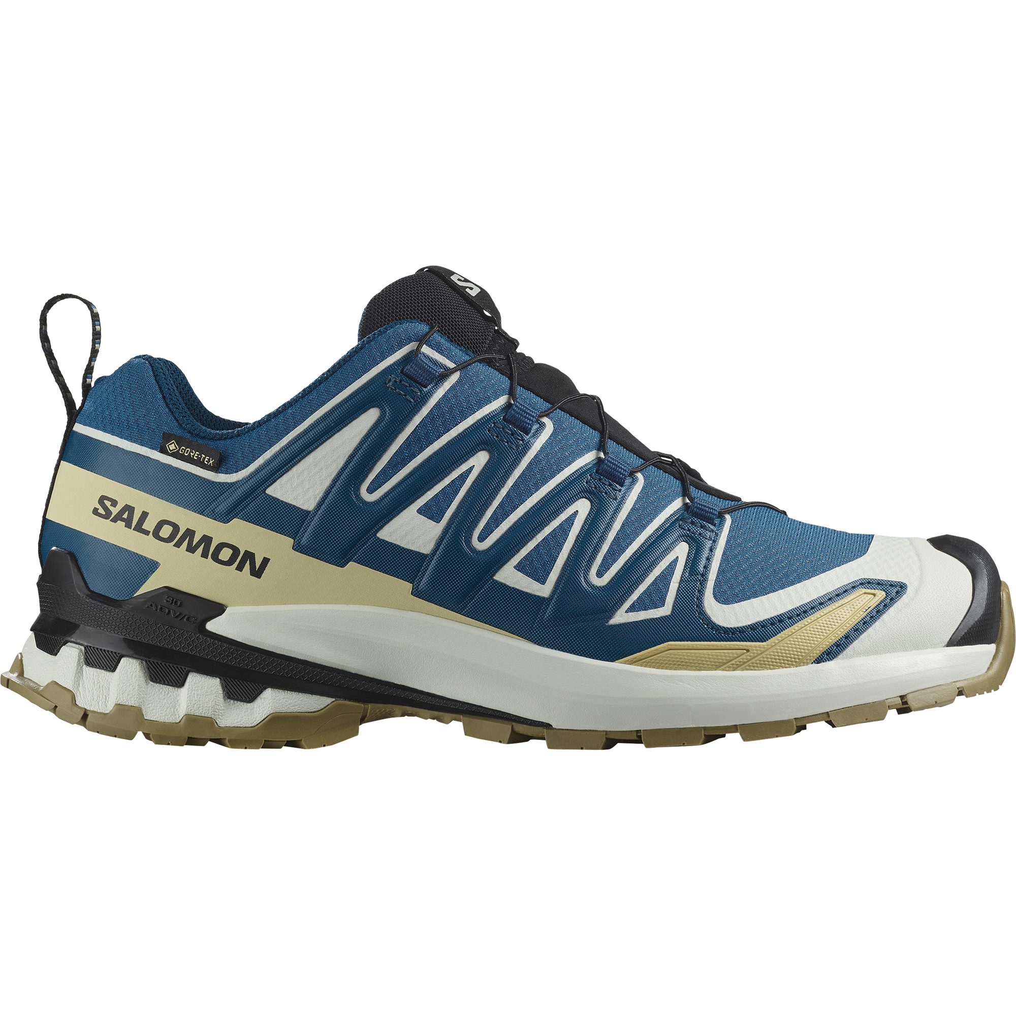 Salomon XA PRO 3D V9 GORE-TEX Laufschuh wasserdicht günstig online kaufen