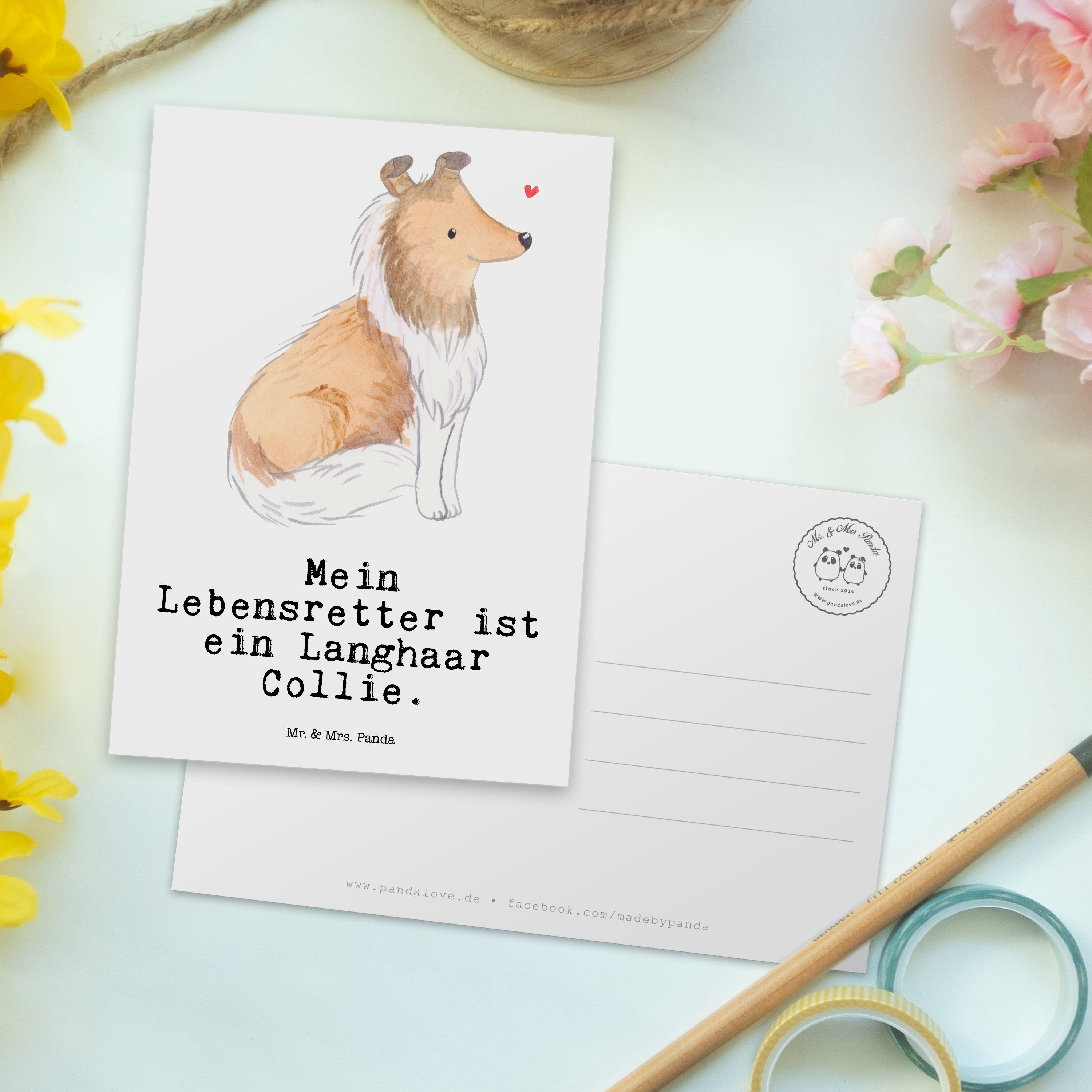 Mr. Lebensretter Mrs. Hunder Panda Weiß & - Geschenk, Postkarte Collie - Geschenkkarte, Langhaar