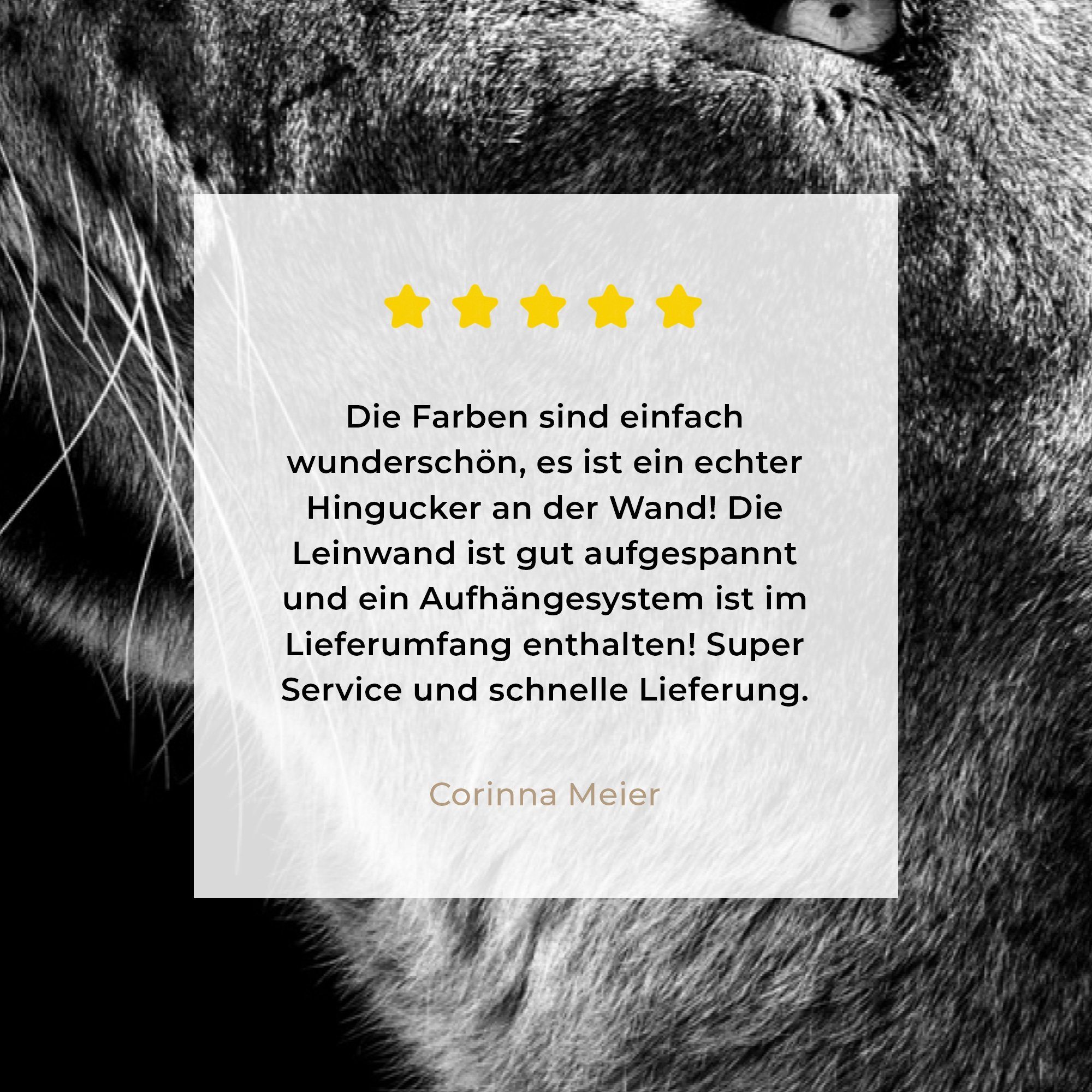 OneMillionCanvasses® Leinwandbild Löwe - Tiere - Schwarz und weiß, Fotodruck (1 St), Leinwand Bilder Klein, Wand Dekoration Aesthetic 30x20 cm – Bild 5 von 5