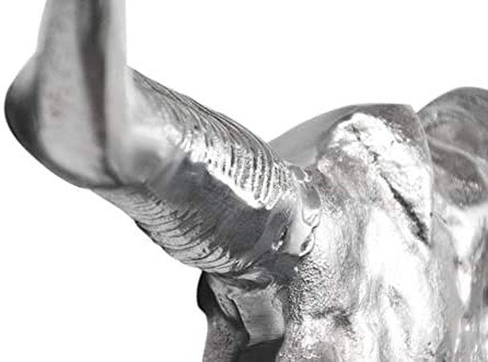 MichaelNoll Wanddekoobjekt Stierkopf Stier Bullenschädel Deko Aluminium Metall, Wanddeko aus Metall