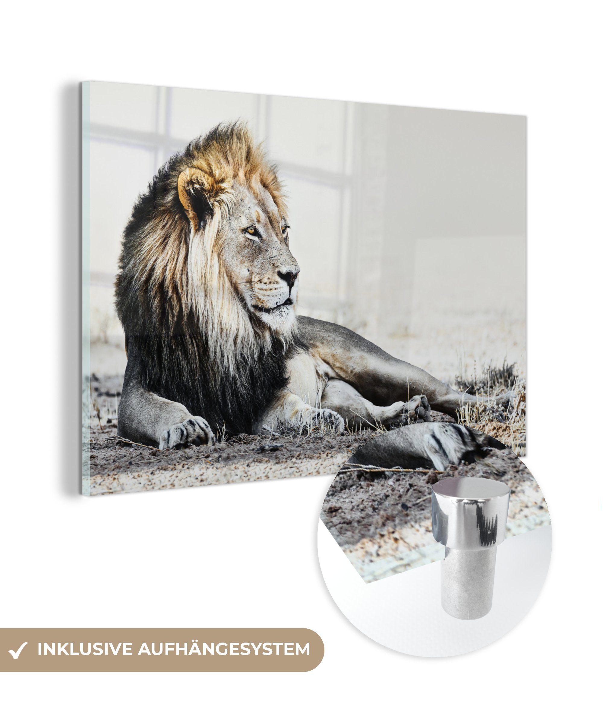 MuchoWow Acrylglasbild Illustration - Löwen - Farbe, (1 St), Glasbilder - Bilder auf Glas Wandbild - Foto auf Glas - Wanddekoration