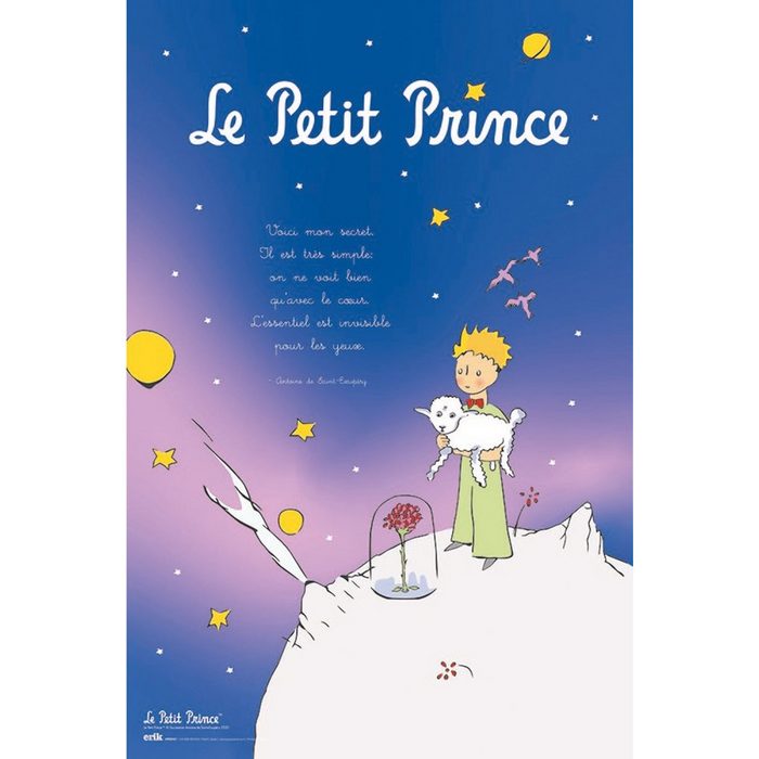 Grupo Erik Poster Le Petit Prince Poster Der kleine Prinz 61 x 91 5 cm