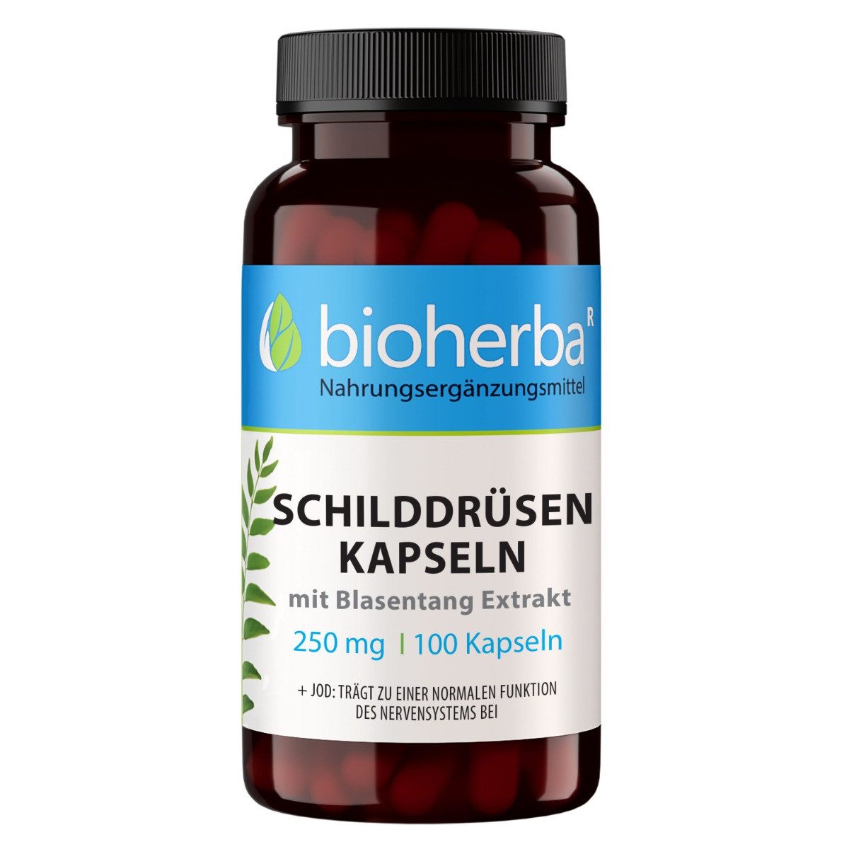 BIOHERBA R Bioherba Schilddrüsen Kapseln mit Blasentang Extrakt 250 mg 100 Stück Tropfen, 1 er