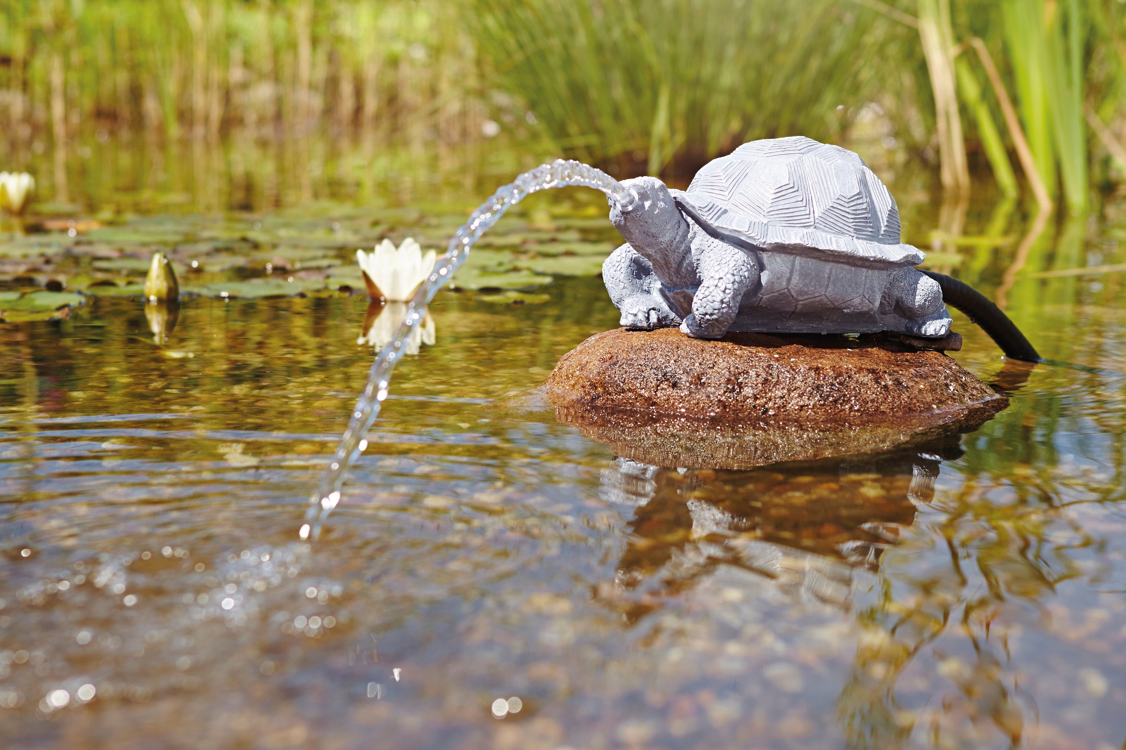 OASE Wasserspeier »Schildkröte«-HomeTrends