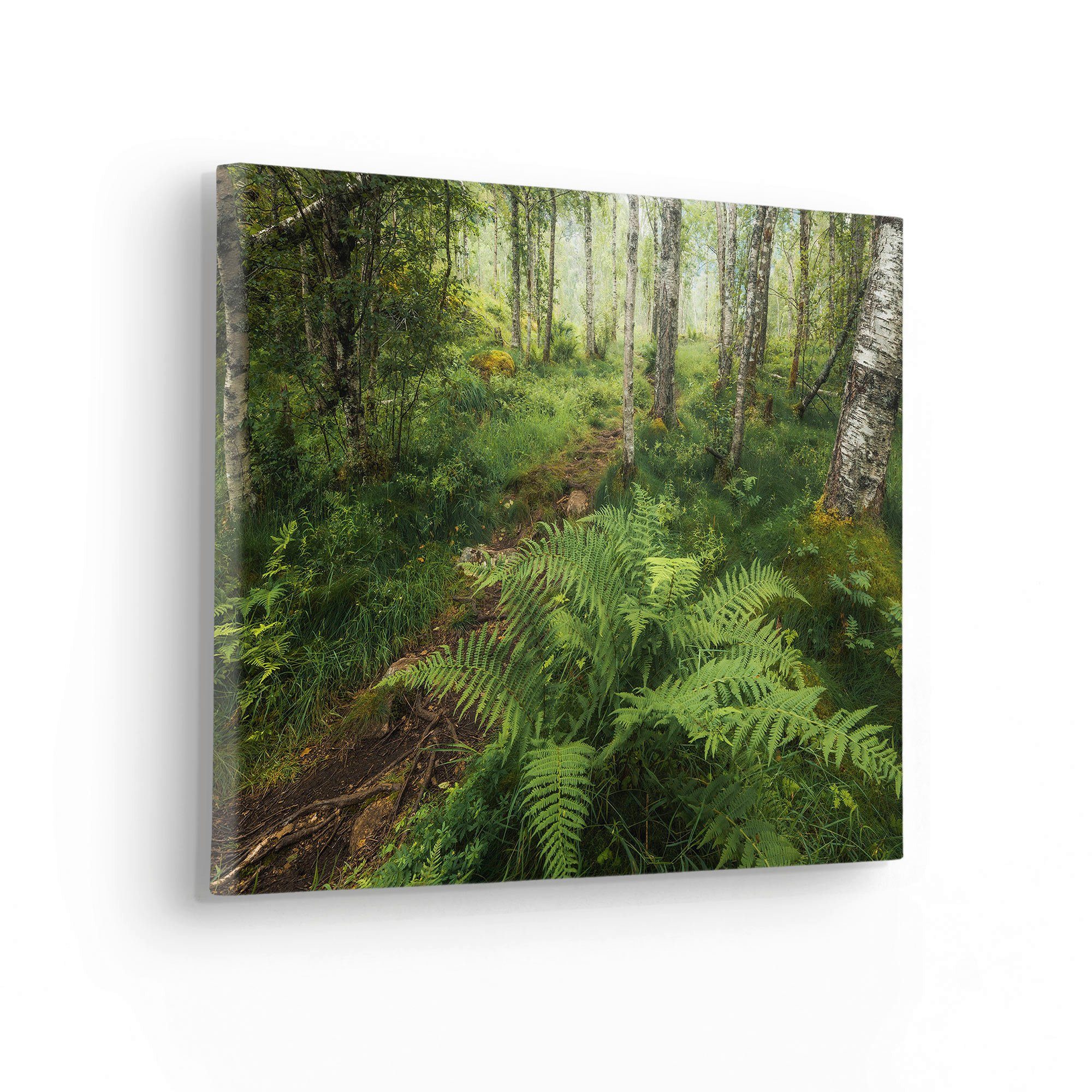 Komar Leinwandbild Mystic Birch Grove - Größe 40 x 30 cm, Baum, Berge, Blumen, Blätter, Foto, Jahreszeiten, Landschaft, Meer, Natur, Palmen, Strand (Packung, 1 St), Keilrahmenbild mi Echtholzrahmen