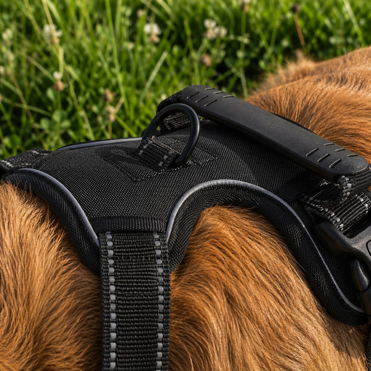 belviona Y-Geschirr gepolstert, reflektierend & verstellbar, Größe XL, schwarz, Nylon, Anti-Zug Hundegeschirr mit Brustring & Kontrollgriff