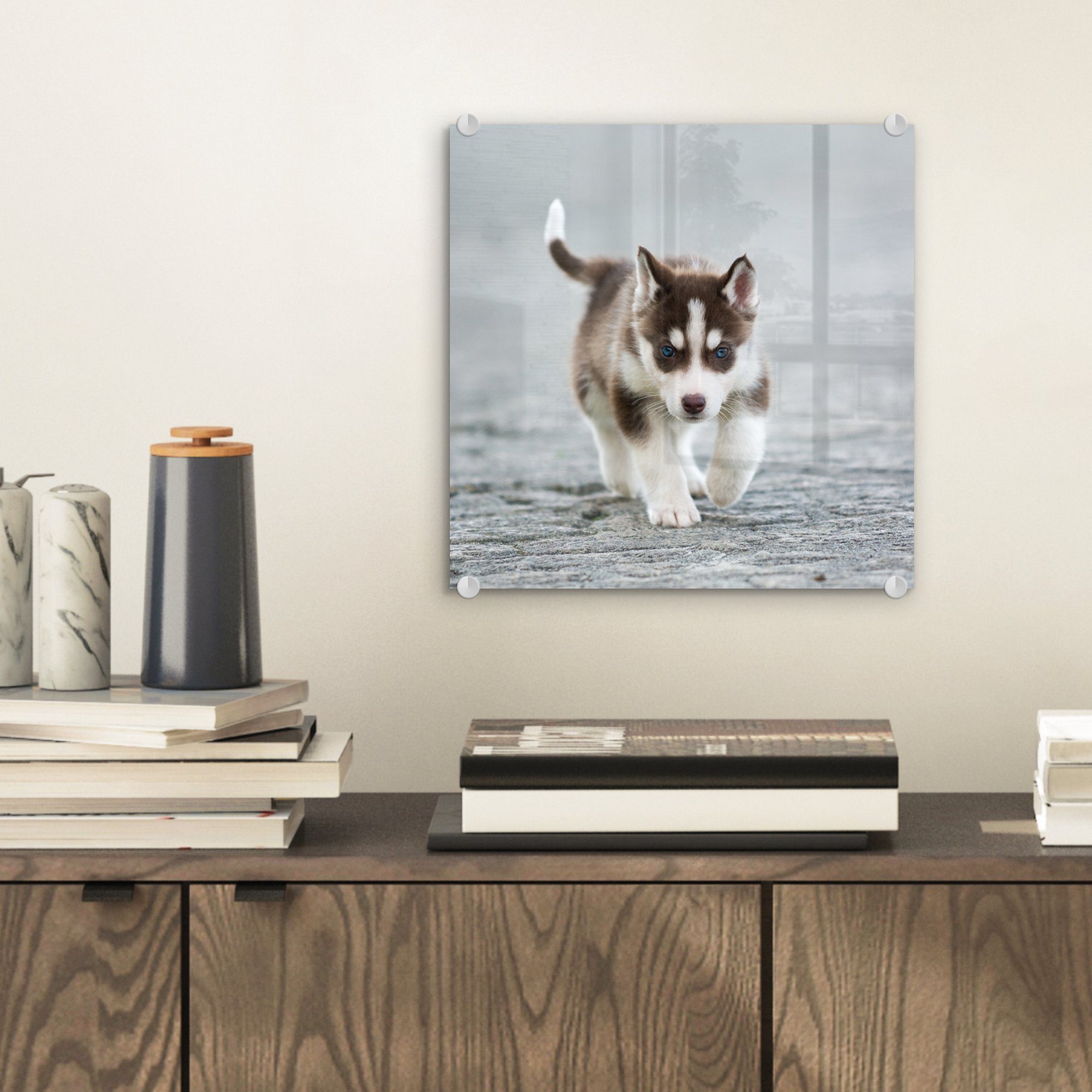 St), Husky-Welpe Glasbilder Foto Glas - (1 läuft Glas Straße, MuchoWow über Wanddekoration Acrylglasbild die auf - auf Bilder Wandbild -