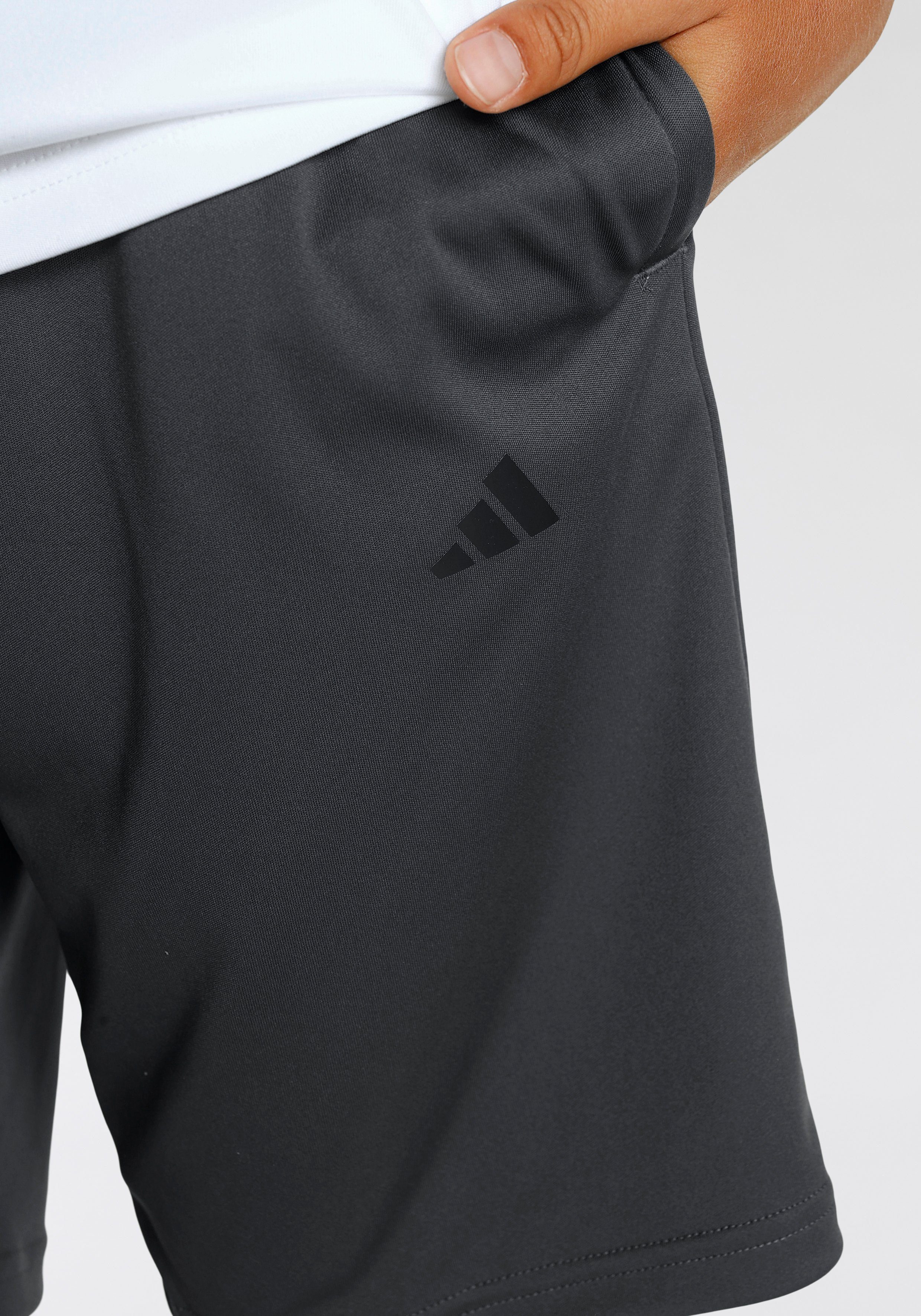adidas Sportswear Trainingsanzug Black (Set, REGULARFIT AEROREADY ESSENTIALS TRAINING SET 2-tlg) 3STREIFEN / TRAIN White