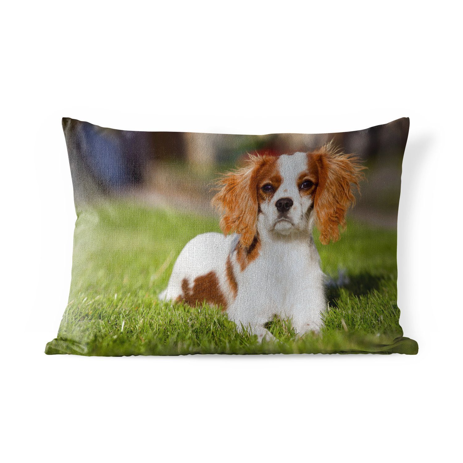 MuchoWow Dekokissen Ein niedlicher Cavalier King Charles Spaniel liegt im Gras, Outdoor-Dekorationskissen, Polyester, Dekokissenbezug, Kissenhülle