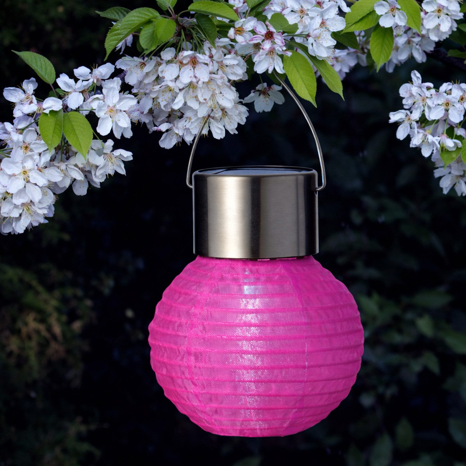 MARELIDA LED Lampion LED Solar Mini Gartenlampion D: 7cm Party Balkon Terrasse Laterne pink, LED Classic, kaltweiss (5300K bis 6000K)