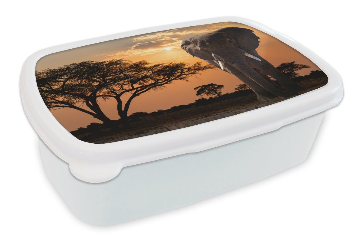 Brotbox Brotdose, und für für Jungs Kunststoff, (2-tlg), - - weiß Erwachsene, Afrika, Baum MuchoWow Kinder Lunchbox Elefant und Mädchen