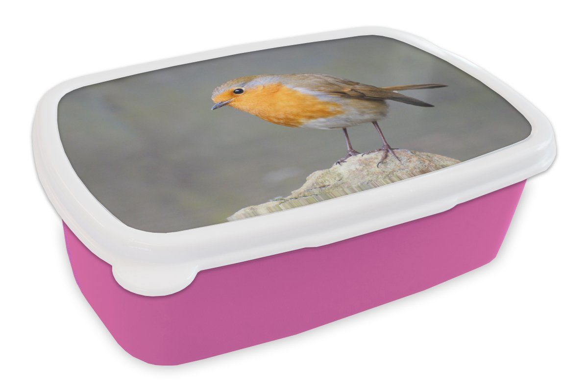 MuchoWow Lunchbox Vogel - Rotkehlchen - Felsen, Kunststoff, (2-tlg), Brotbox für Erwachsene, Brotdose Kinder, Snackbox, Mädchen, Kunststoff rosa