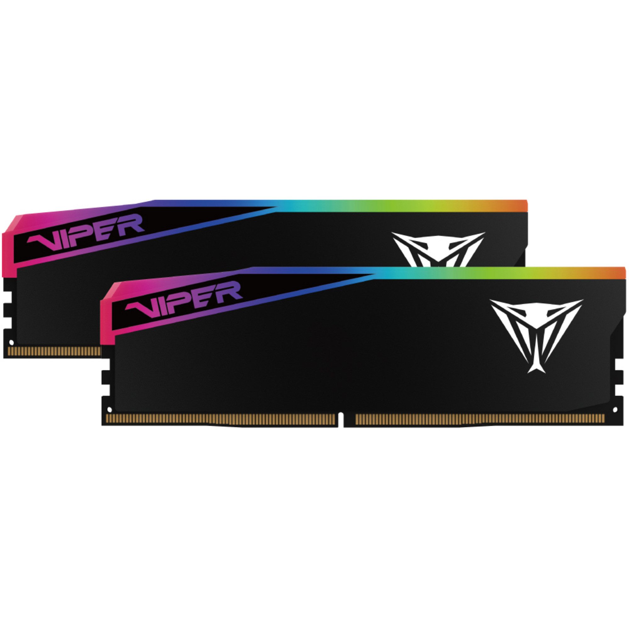 Patriot Patriot DIMM 48 GB DDR5-6000 (2x 24 GB) Dual-Kit, Память