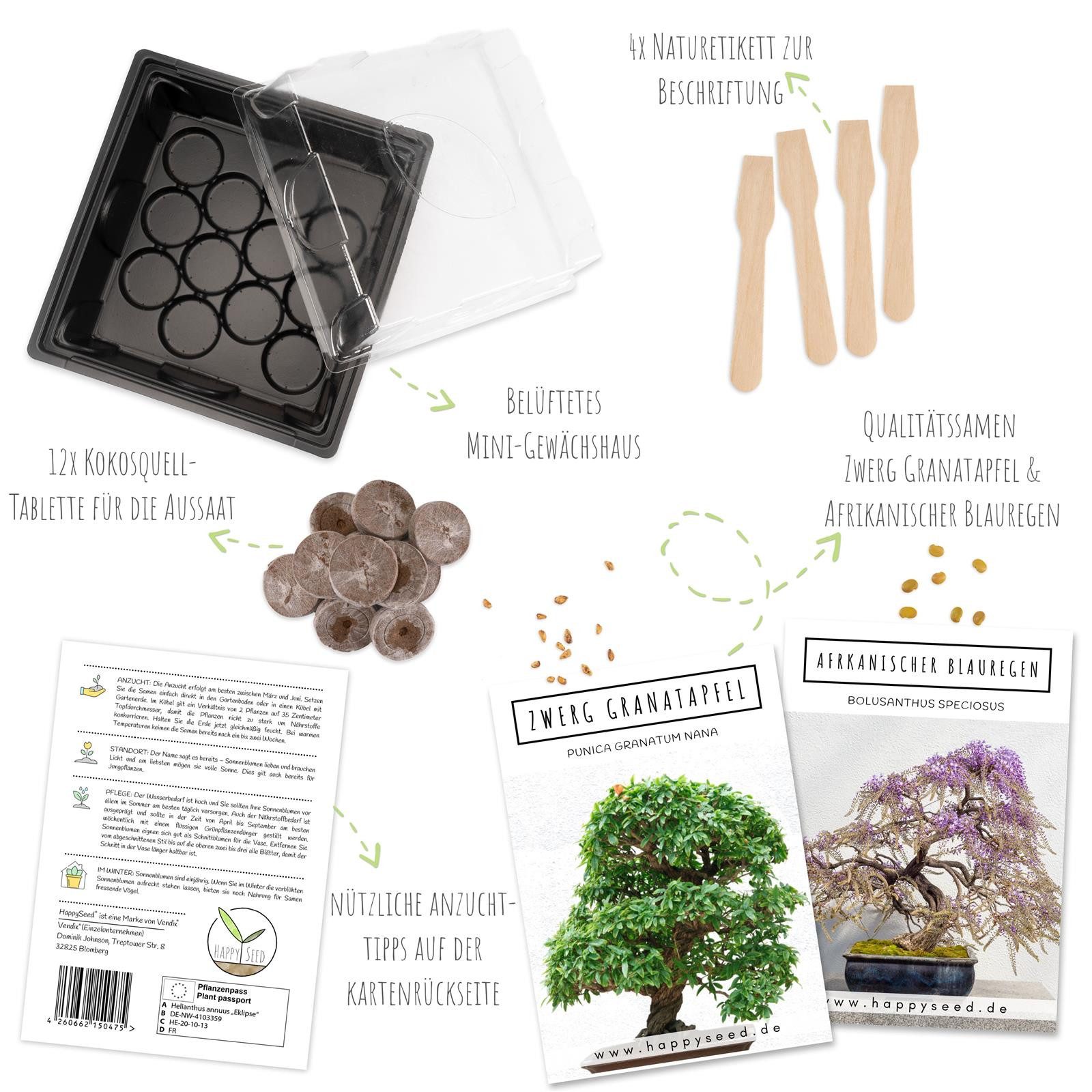 HappySeed Blumensamen Bonsai Starter Kit inkl. eBook (Afr. Blauregen + Zwer günstig online kaufen